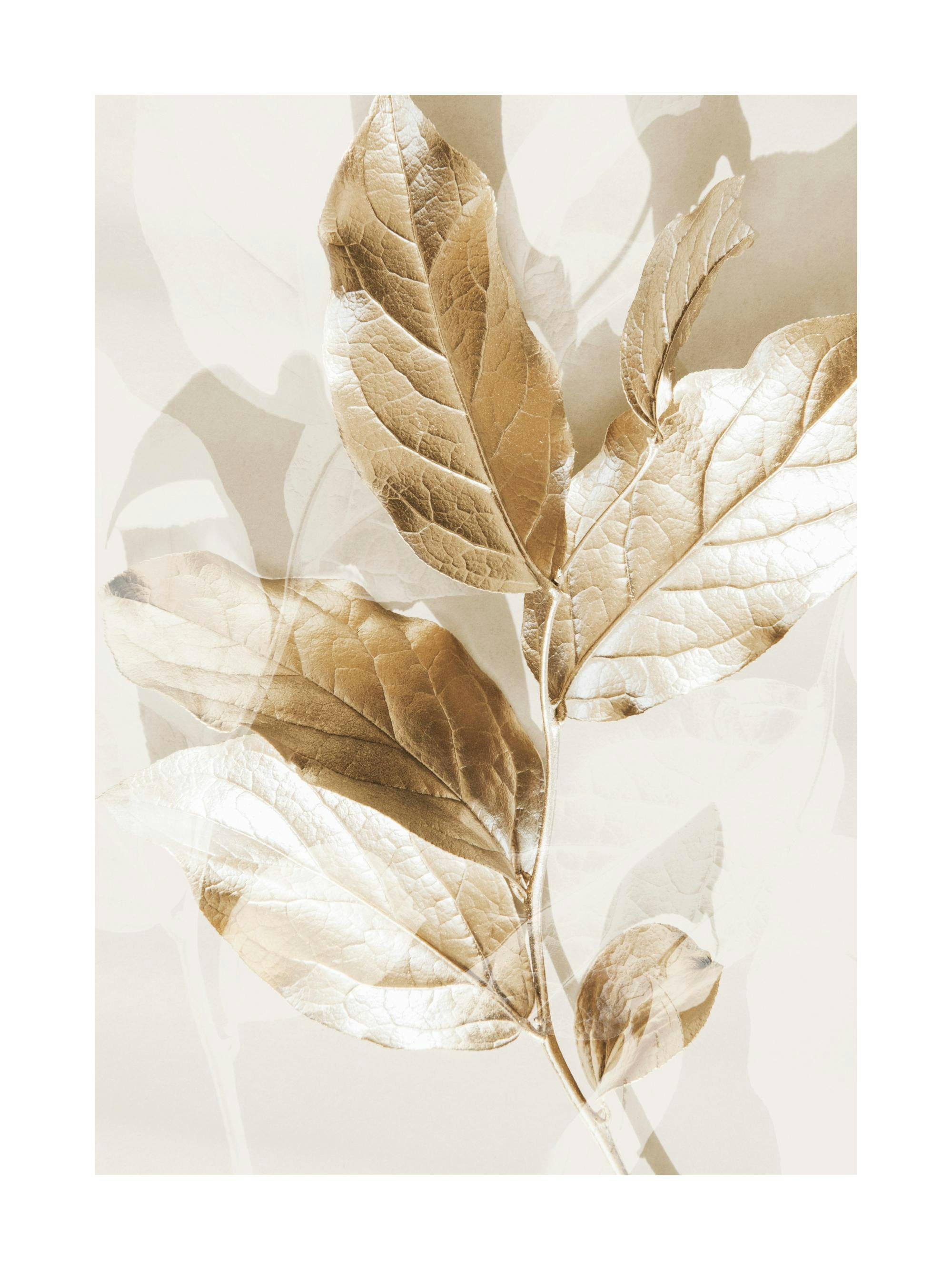 Poster avec des feuilles dorées sur fond beige clair, créant des ombres et un effet de transparence.