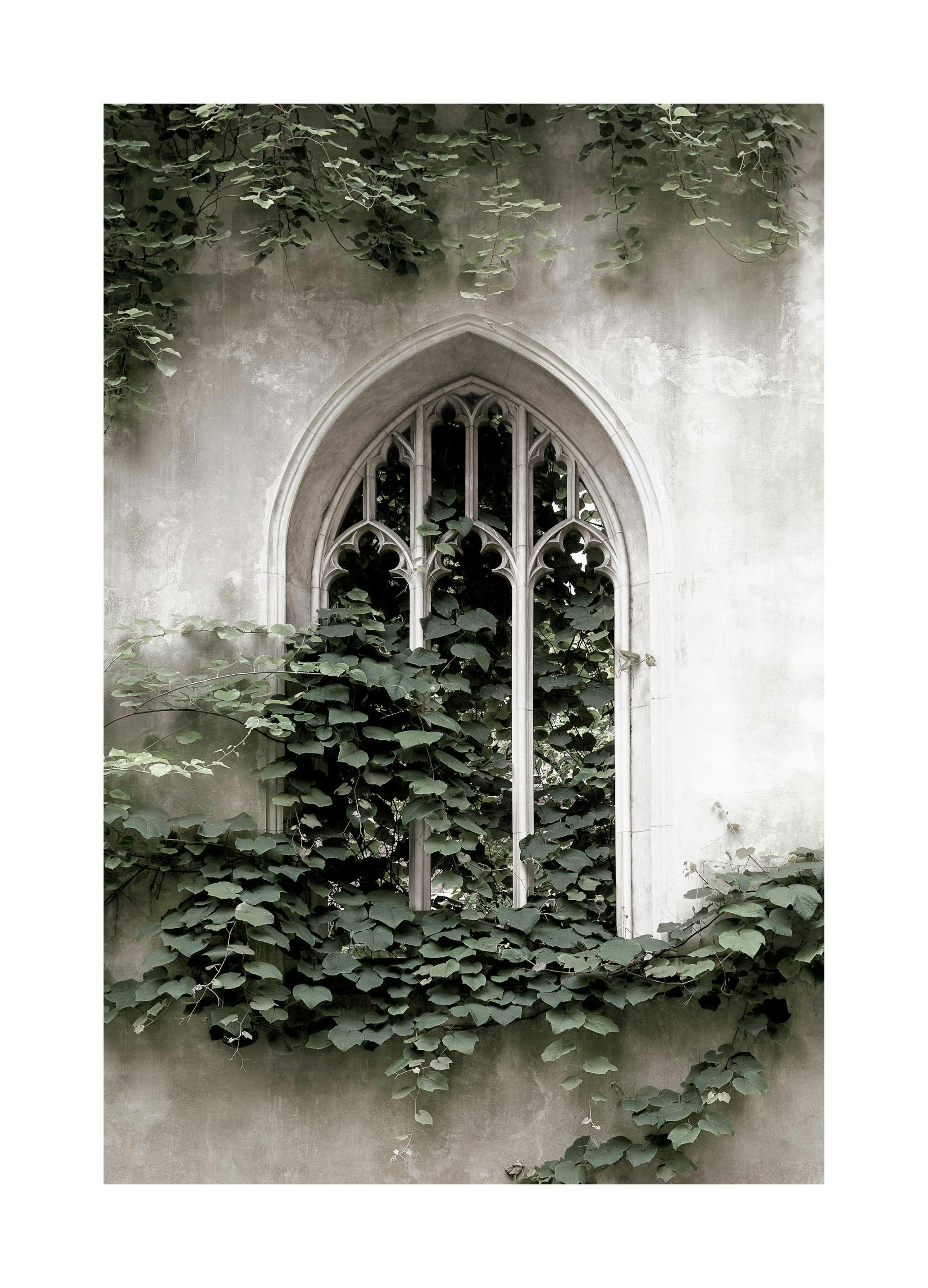 Fönster i Slott Poster (30x40 cm) - Poster Store