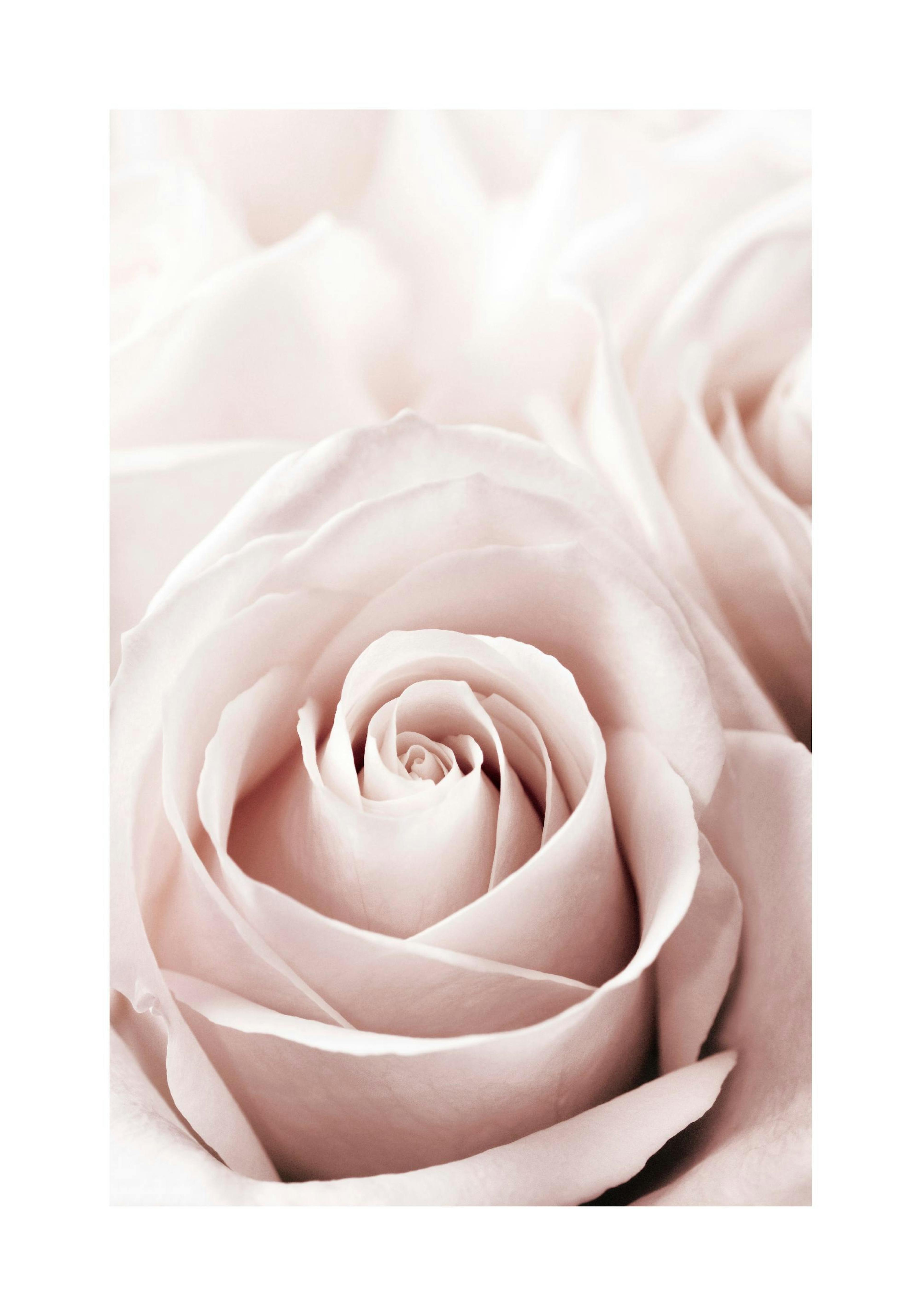 Product image: 1