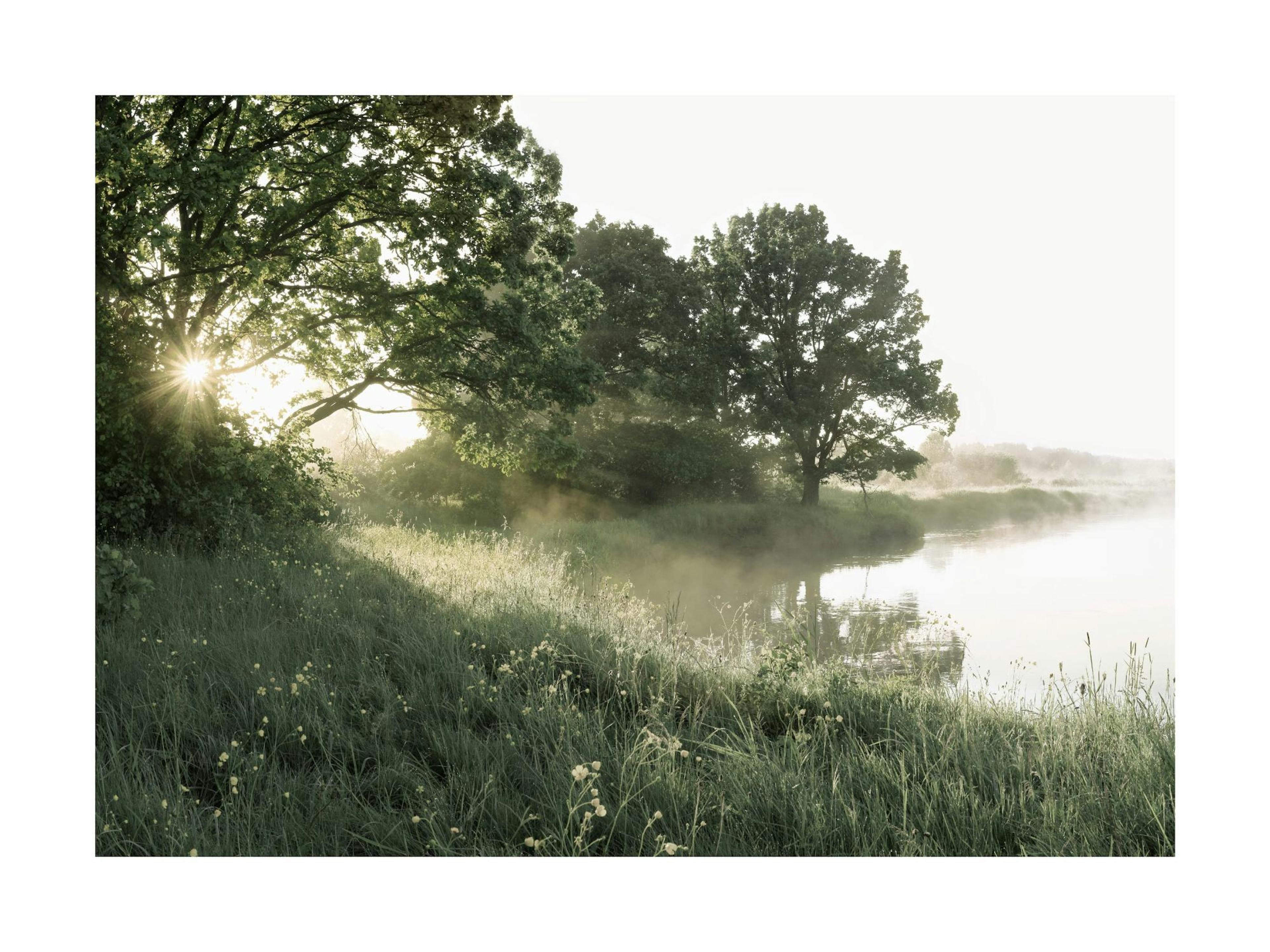 A poster featuring a misty morning landscape with sun rays shining through trees over a calm river with grass banks.