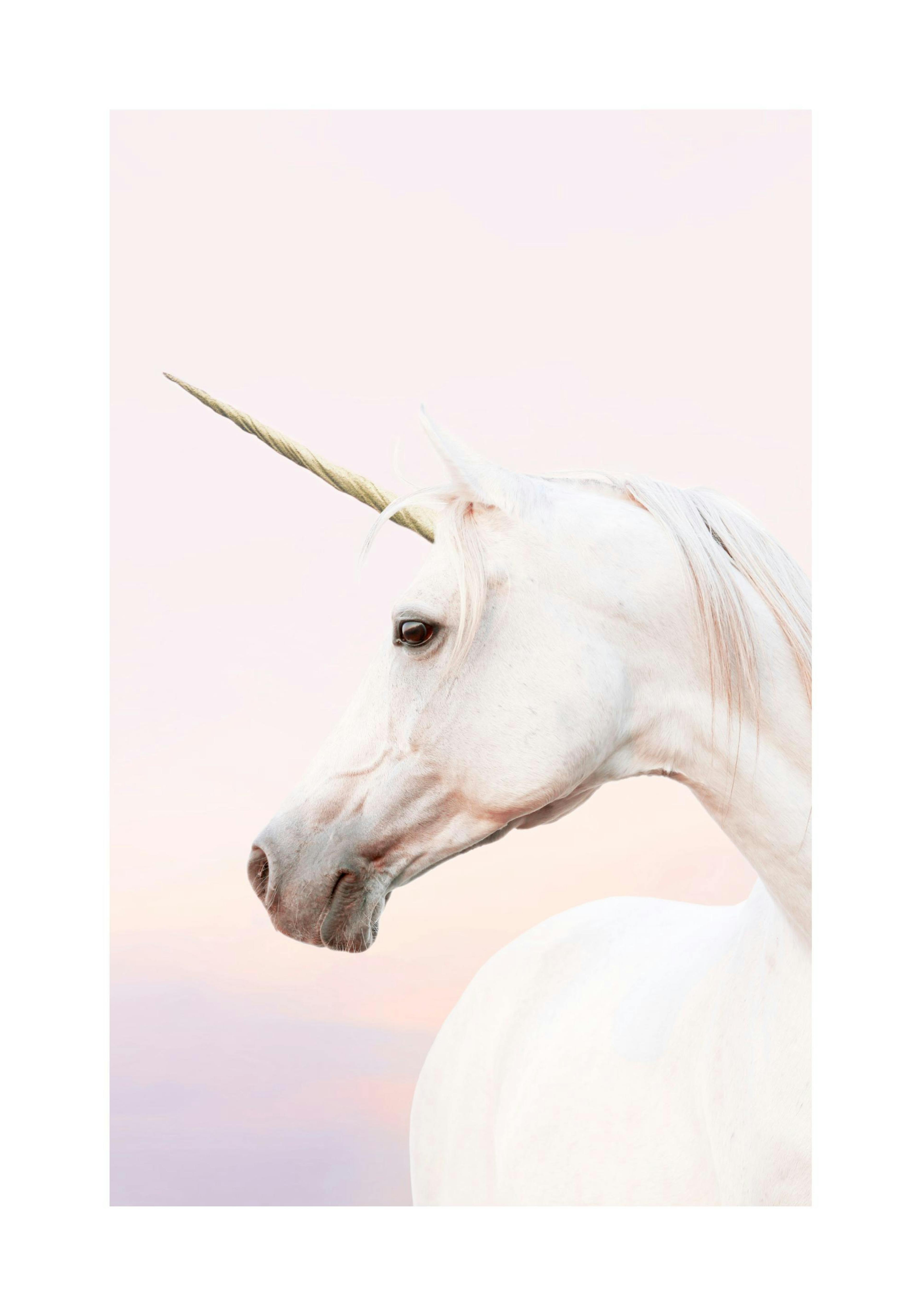 Product image: 1