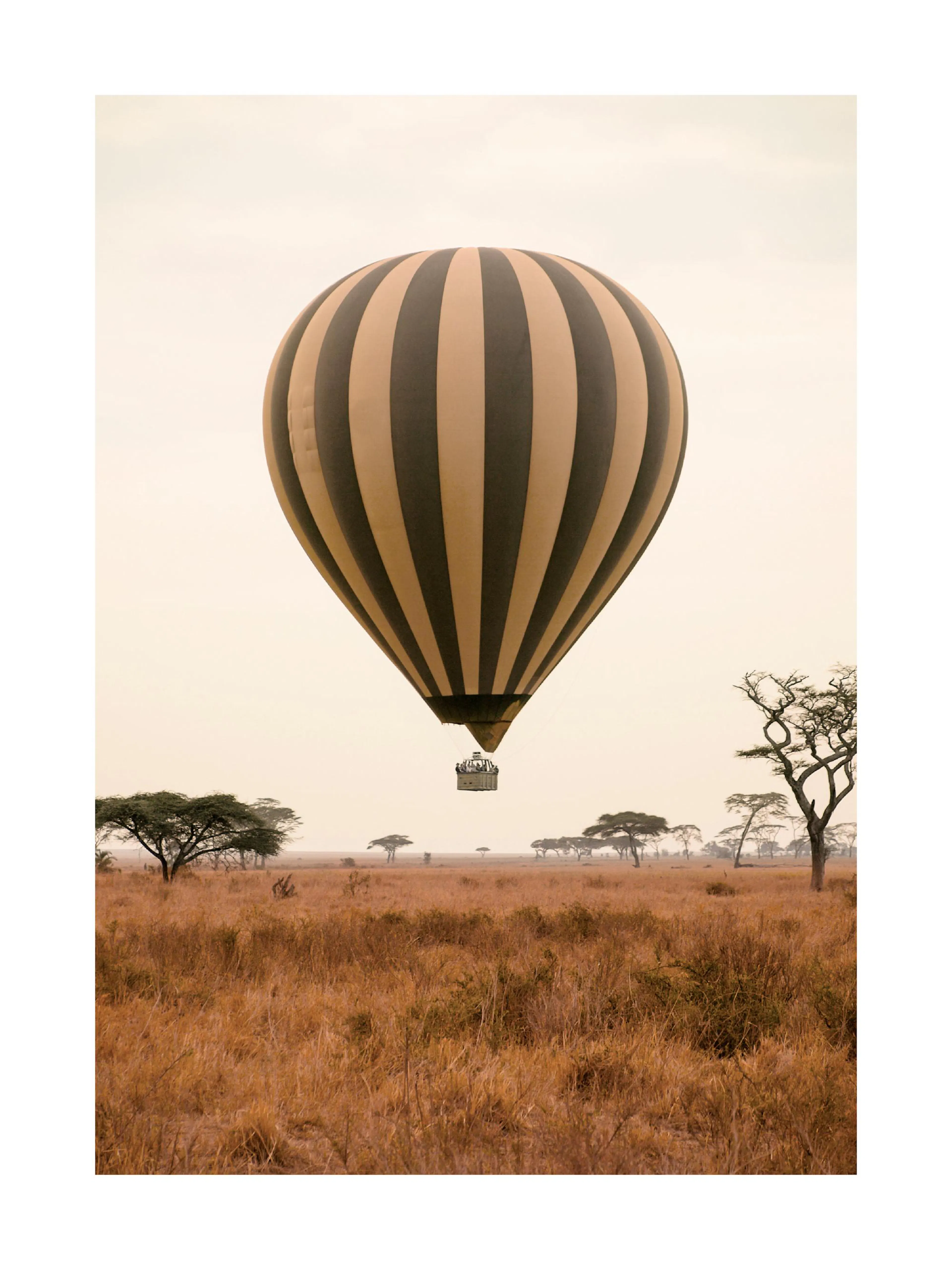 A poster featuring a striped hot air balloon floating above a dry savanna landscape with scattered trees.