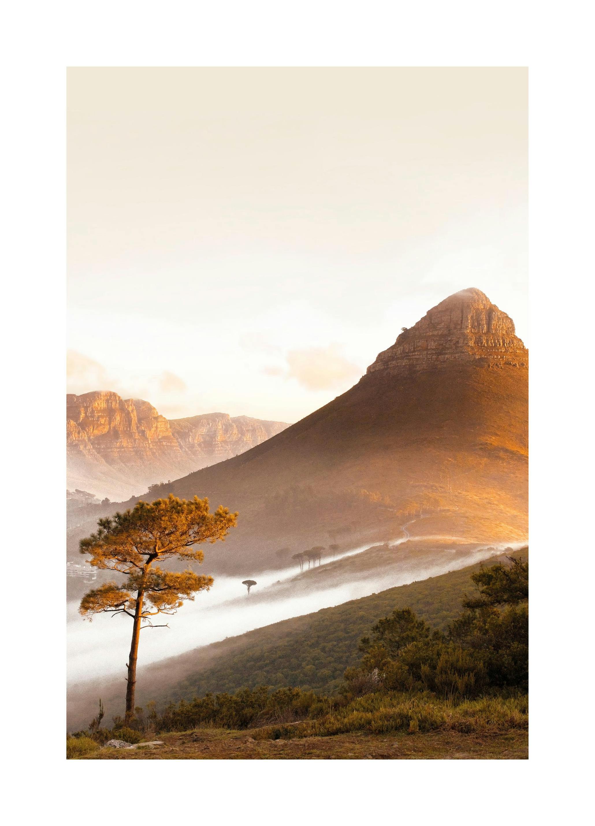 Plakat Dzika Natura (50x70 cm) - Poster Store