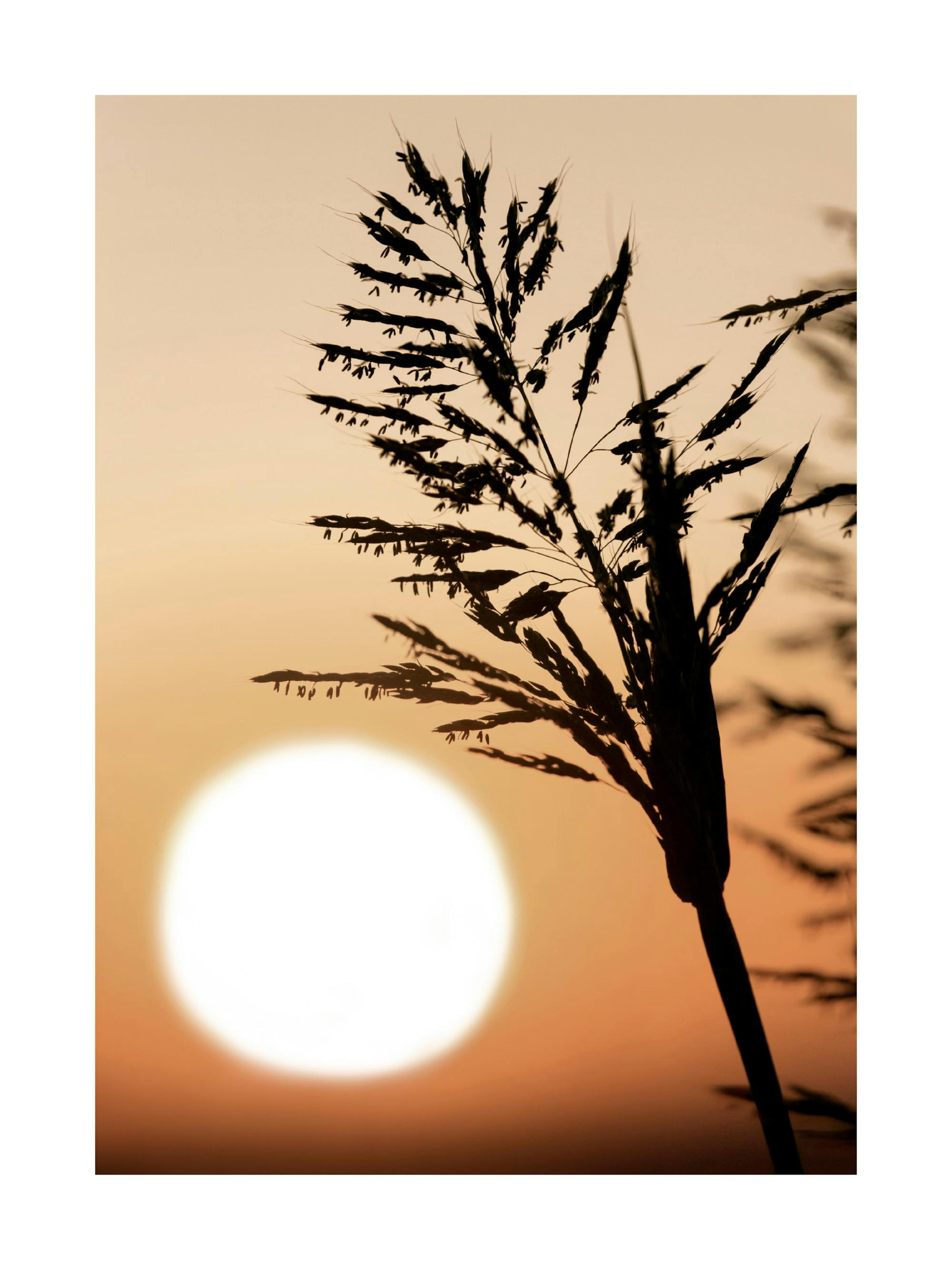 Product image: 1