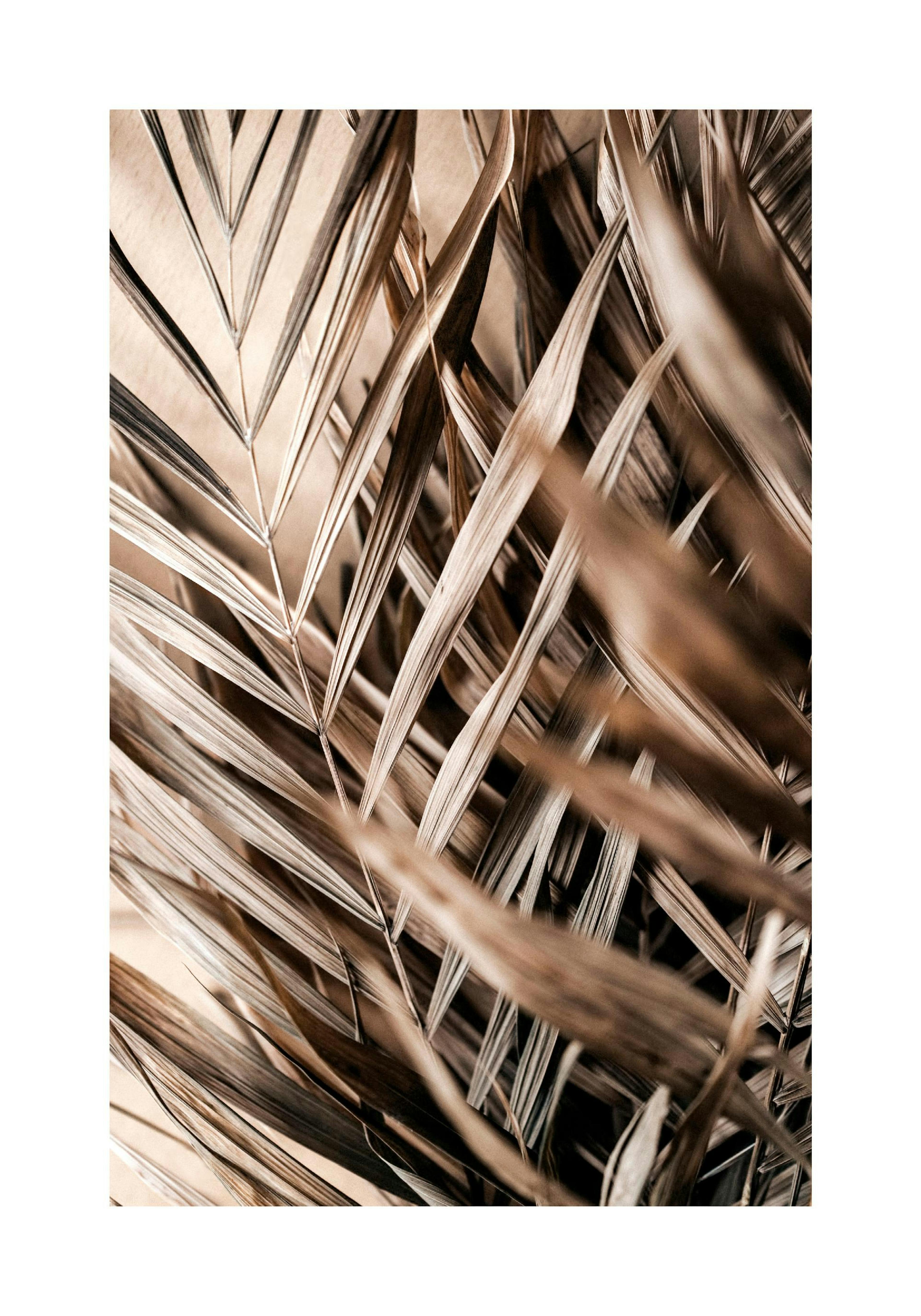 A poster featuring a close-up of dried palm leaves in shades of brown and beige, with a warm, soft background.