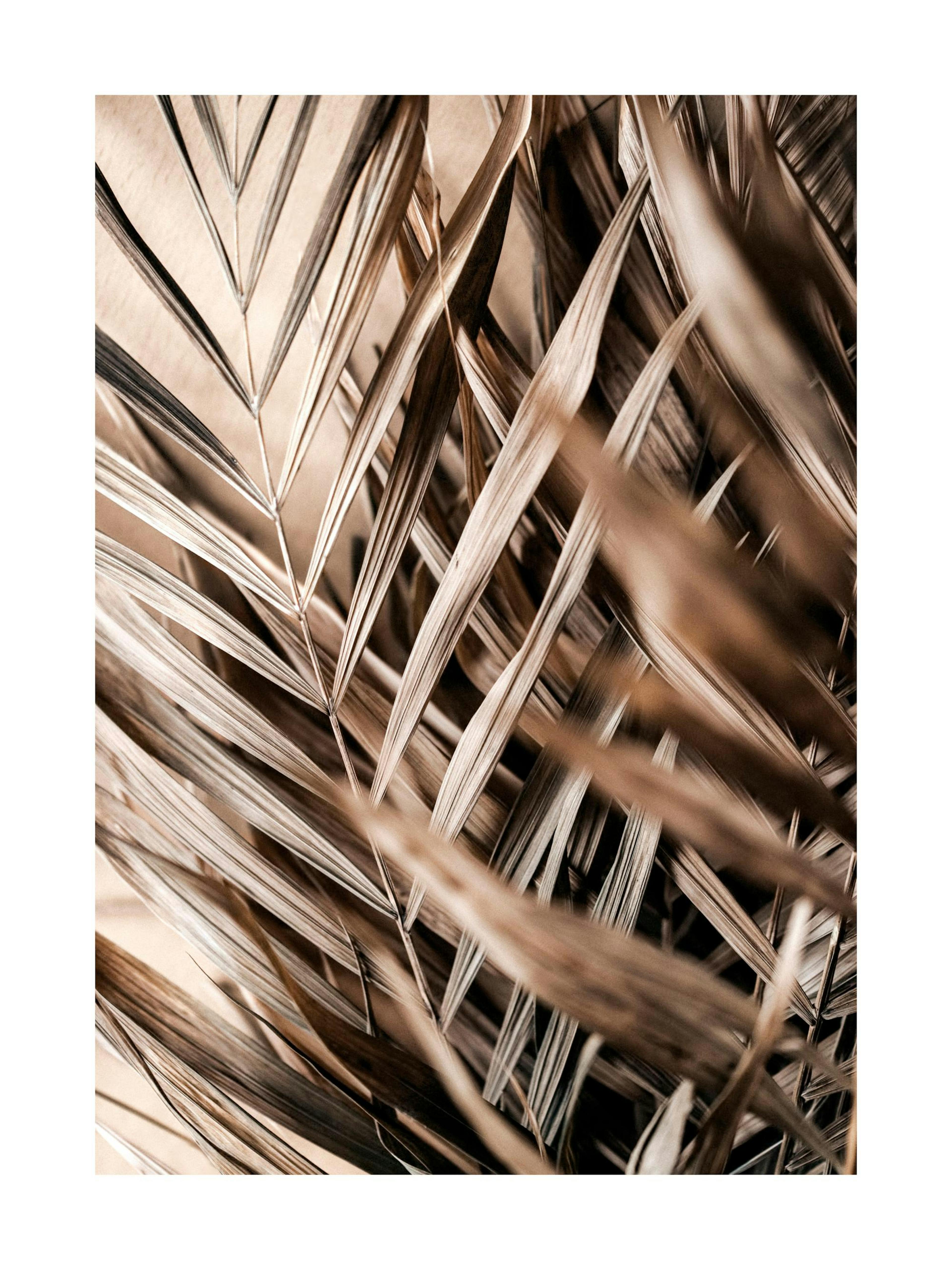 Product image: 1