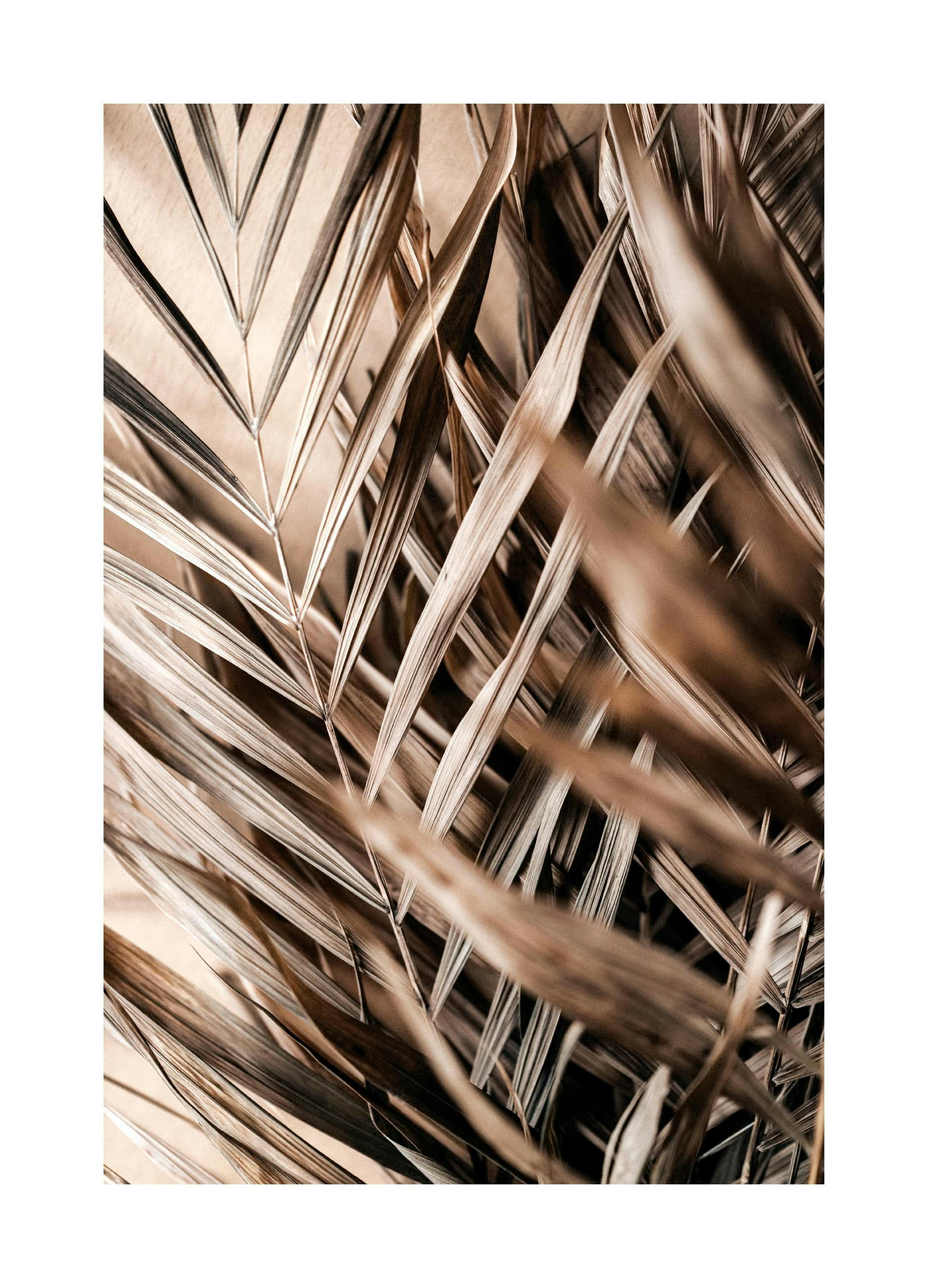 Gedroogde Bladeren Poster (30x40 cm) - Poster Store