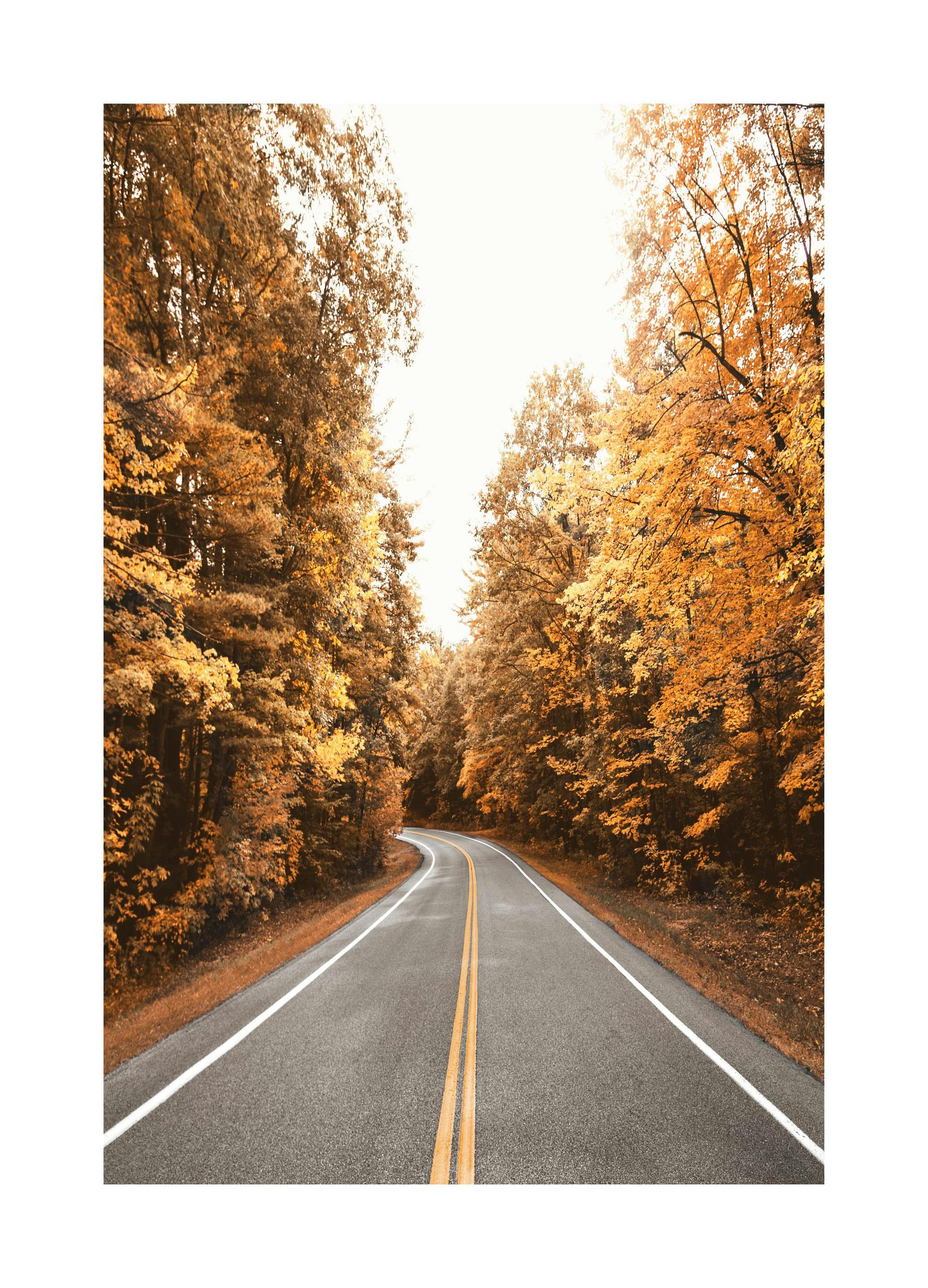 Herfstweg Poster (21x30 cm) - Poster Store