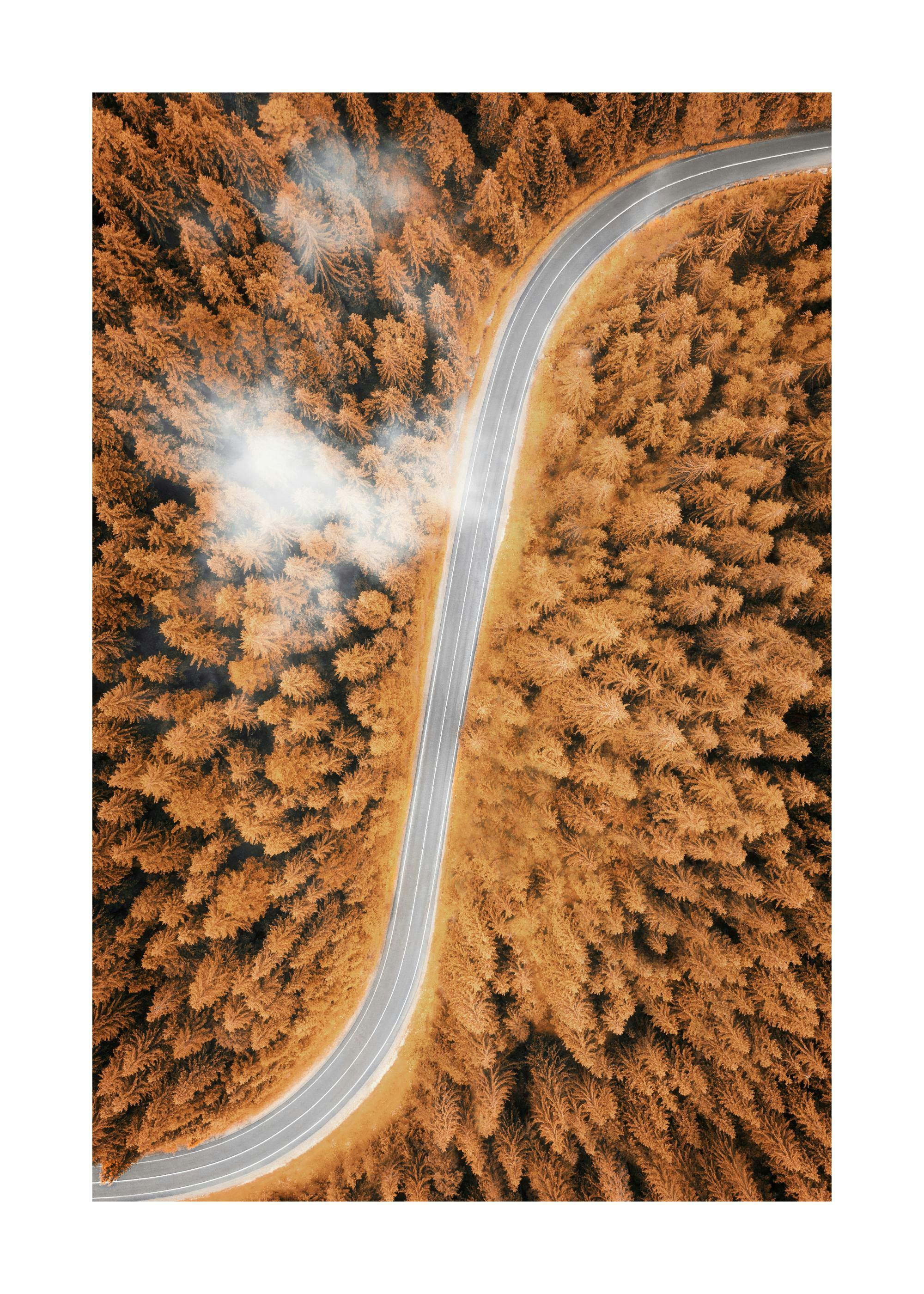 Poster dune route sinueuse à travers une forêt aux couleurs automnales, vue den haut avec des brumes matinales.