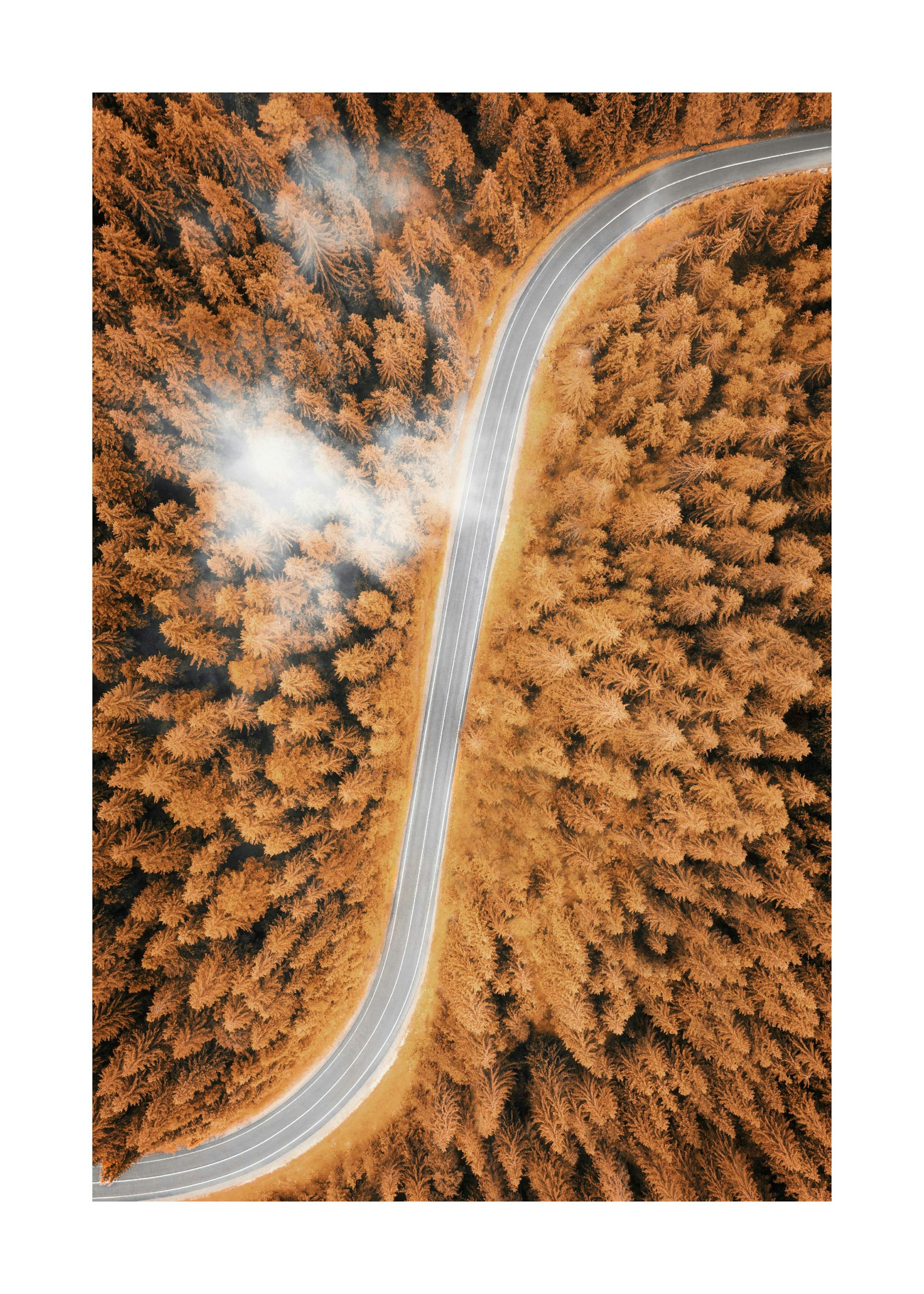 Herbstliche Luftaufnahme Poster 0