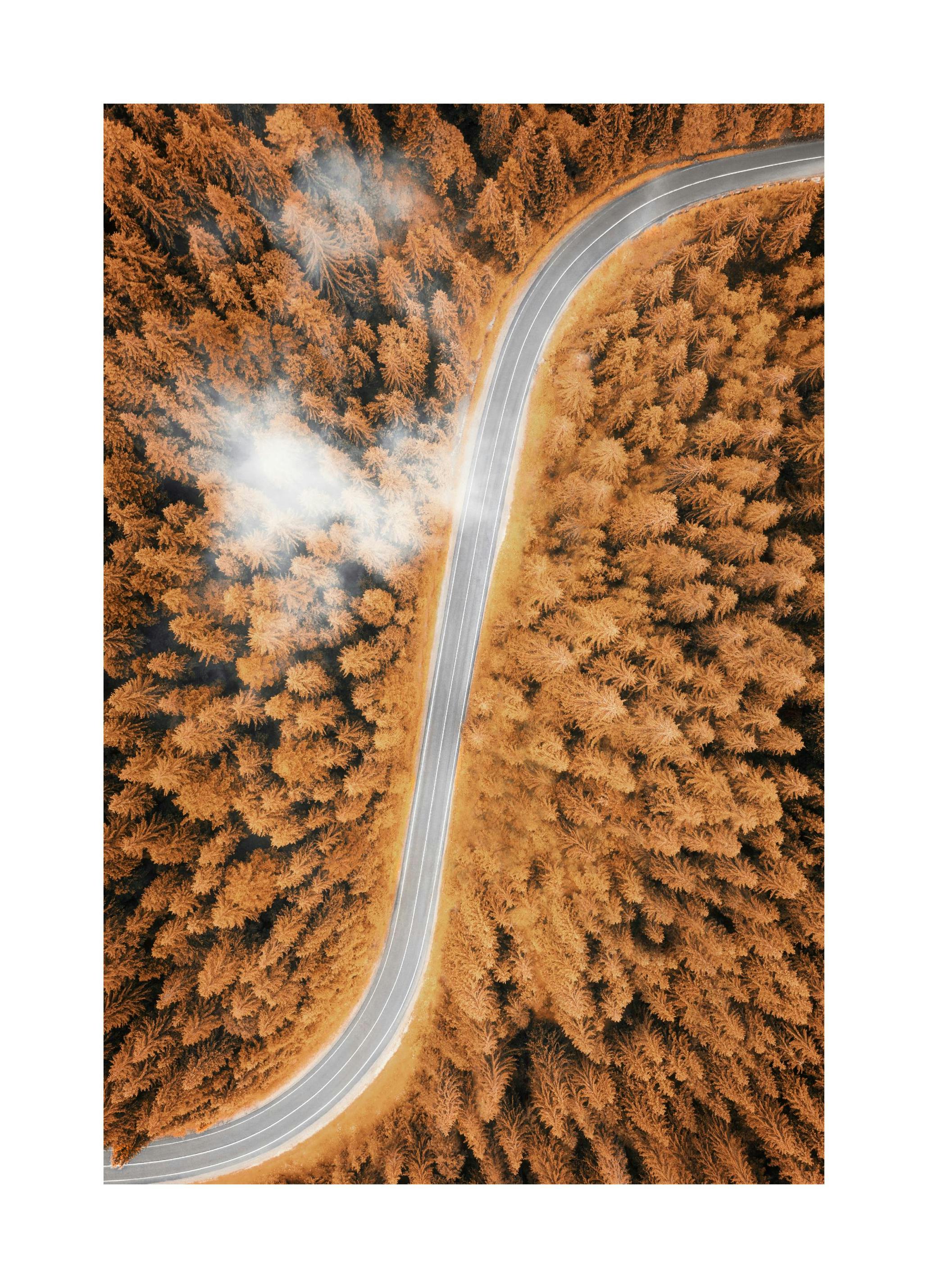 Høst Luftfoto Poster (50x70 cm) - Poster Store
