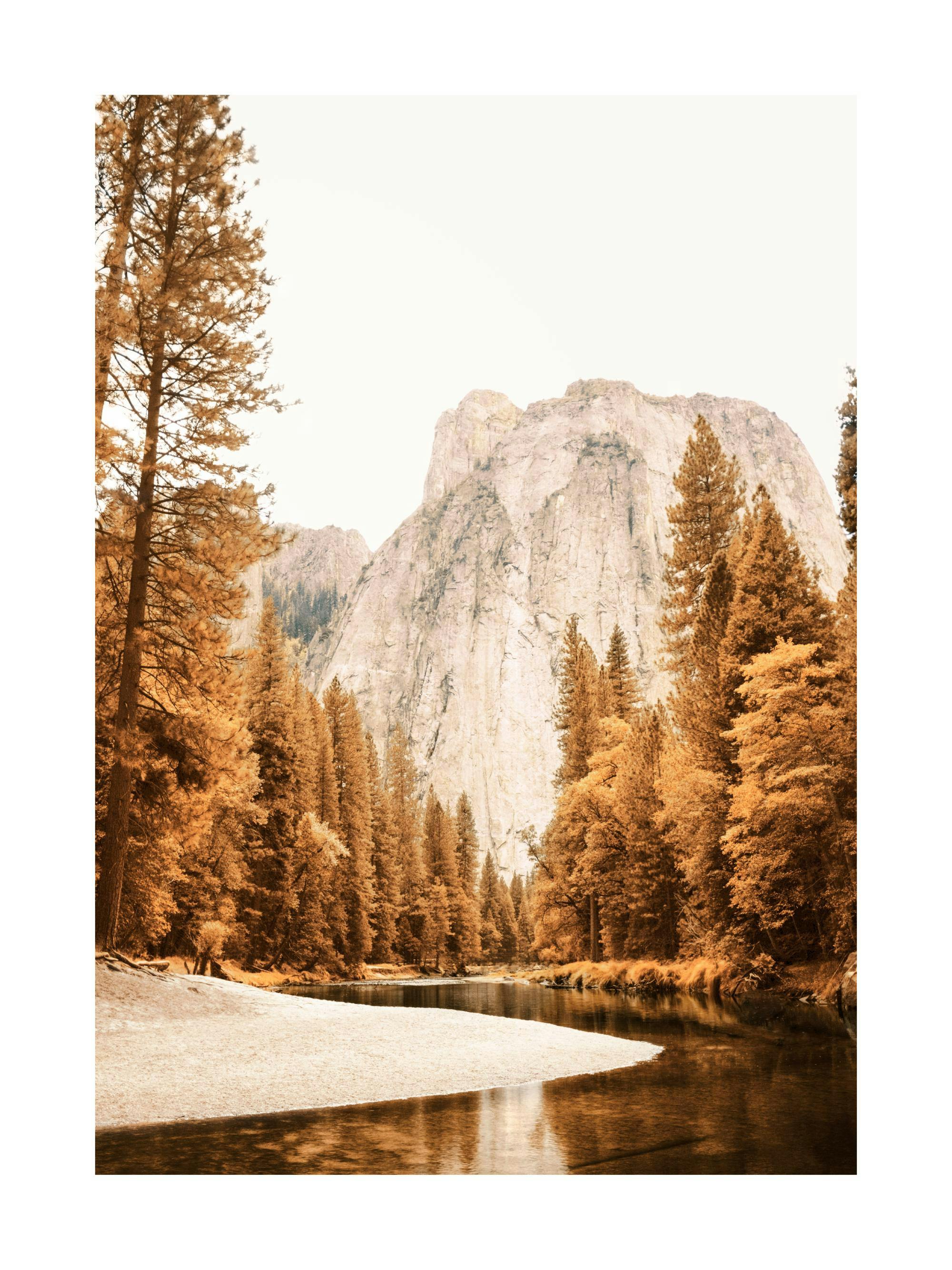 A poster featuring a winding river and sandbank flanked by autumn trees, with a large mountain in the background.
