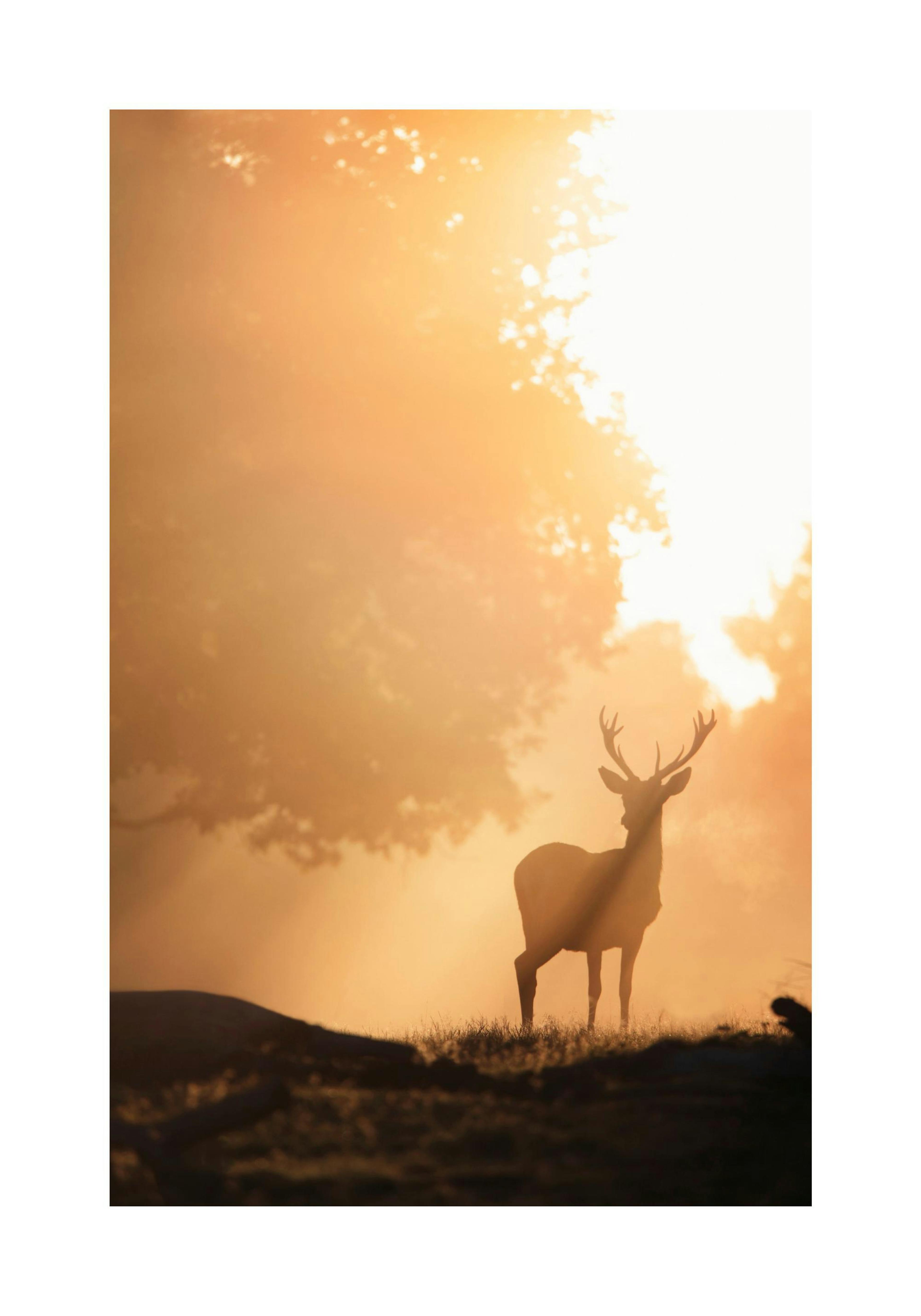 Product image: 1