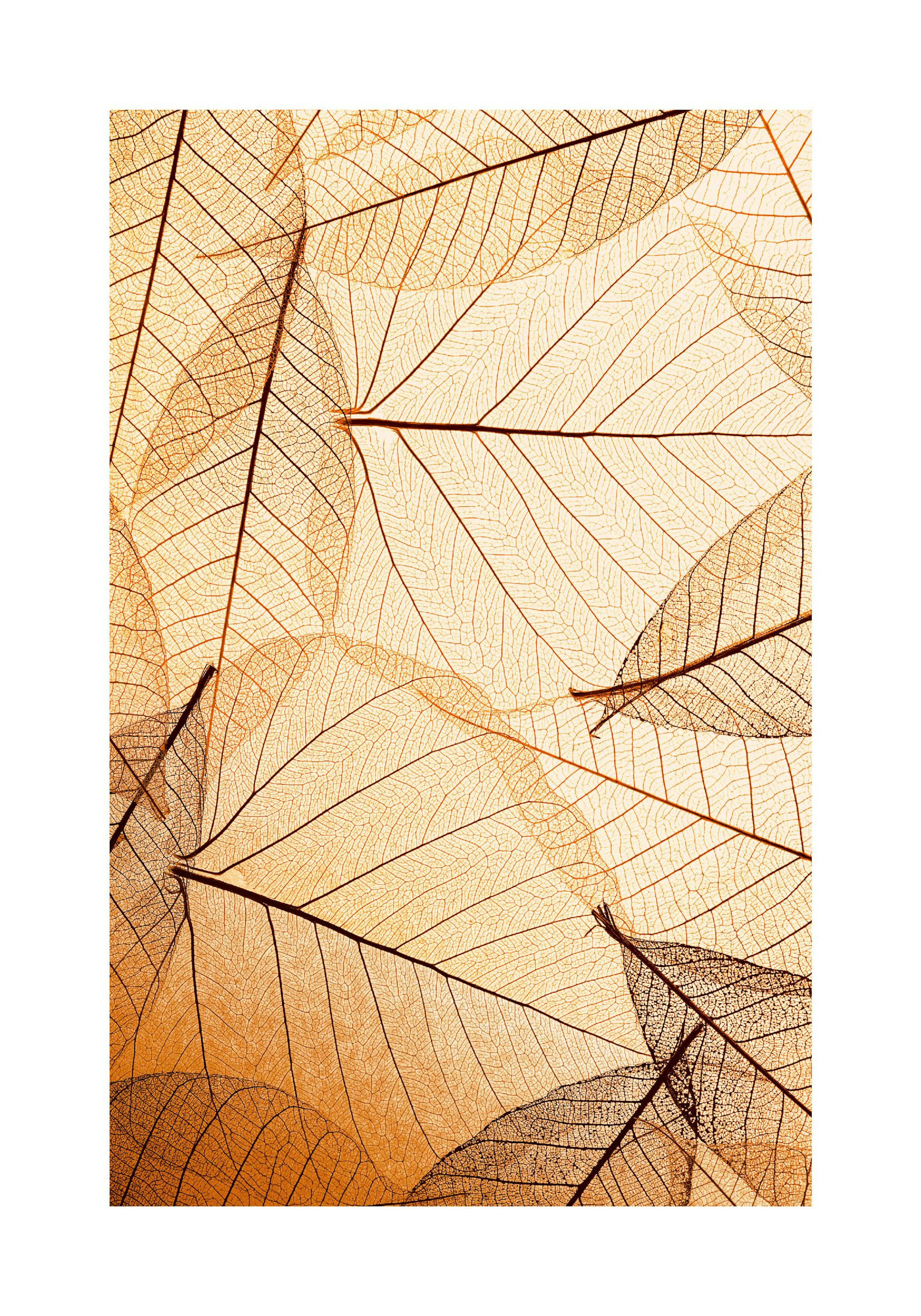 Product image: 1