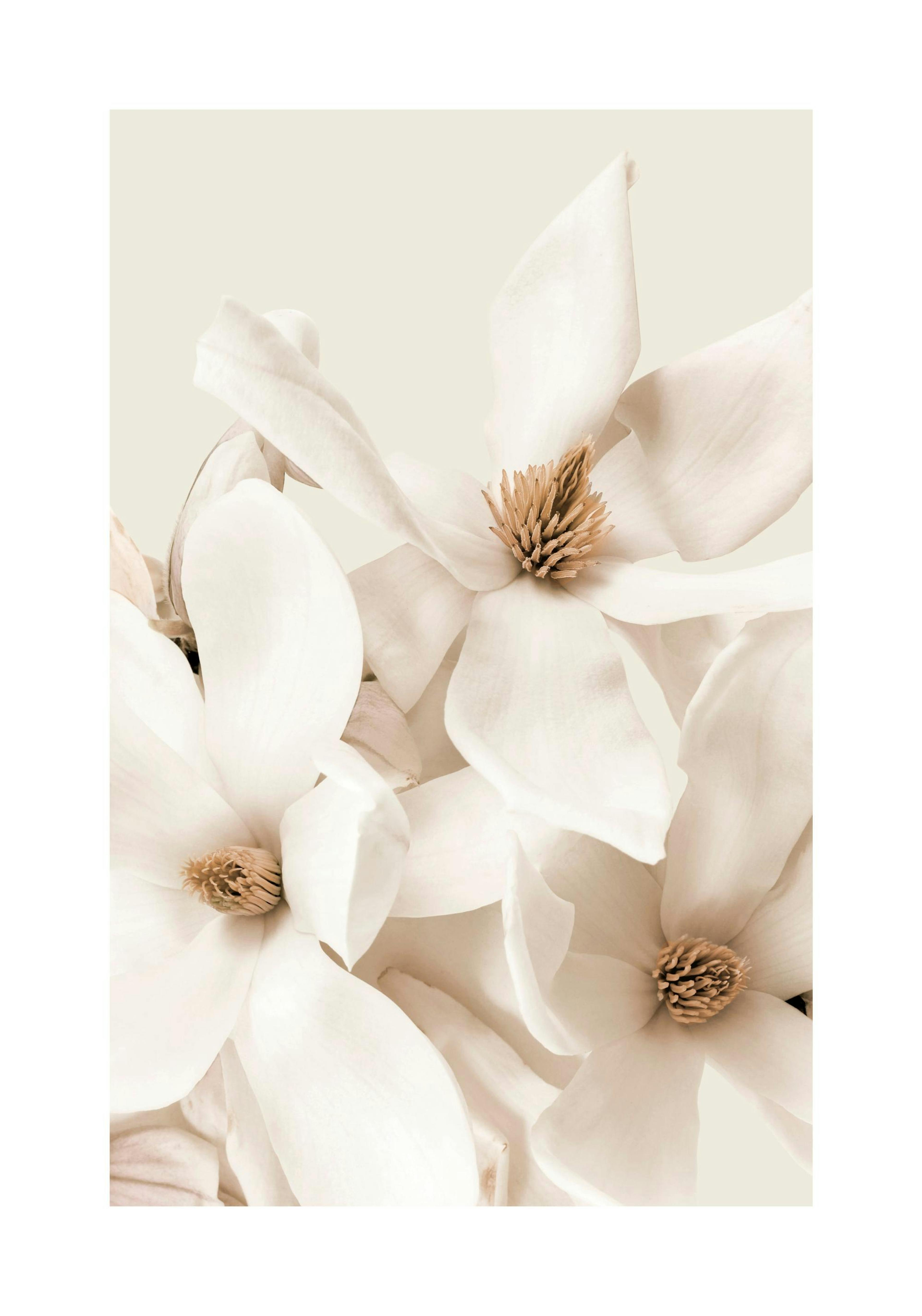 Product image: 1