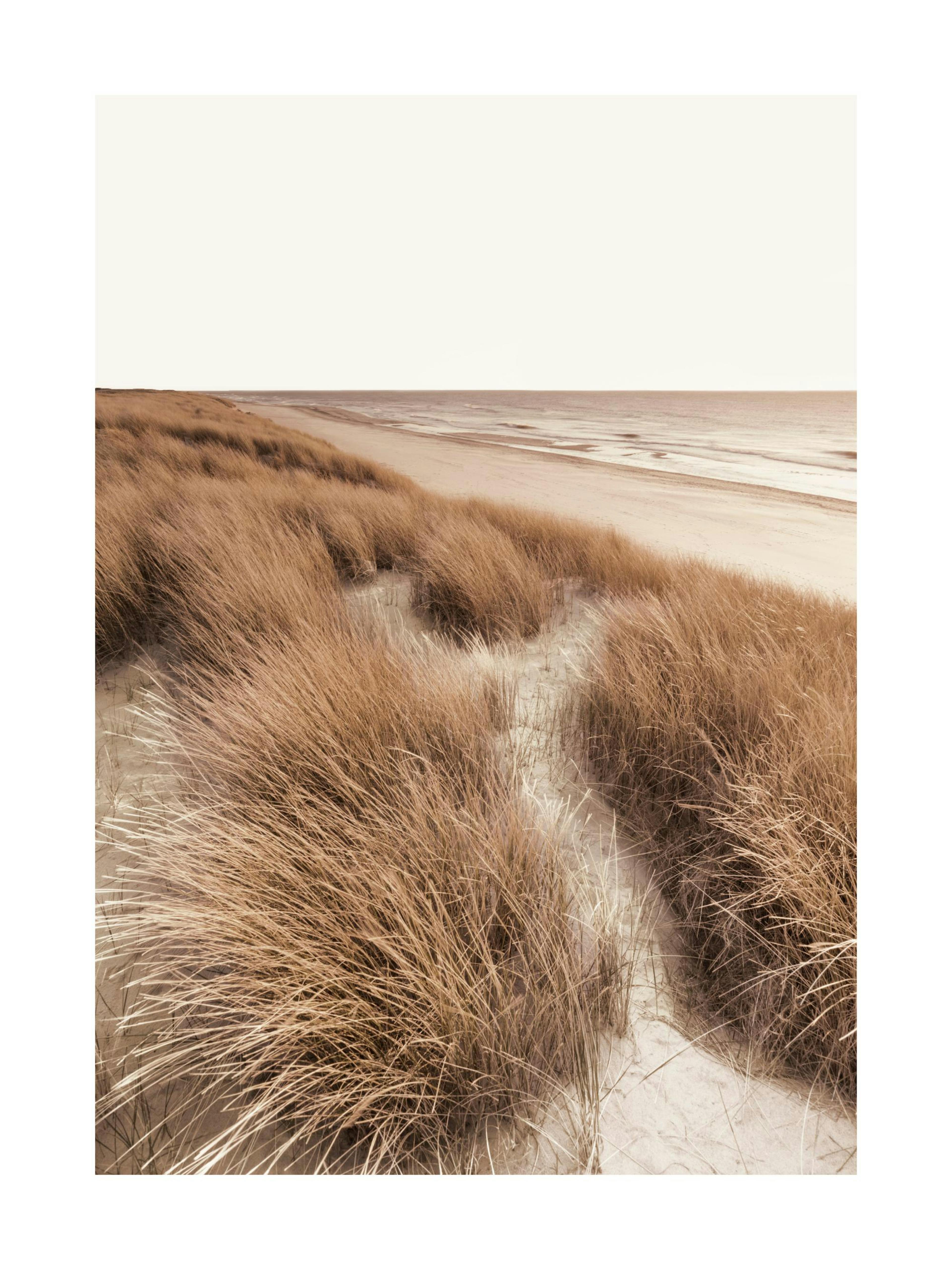 A sepia-toned poster featuring a sandy beach with tall, dry dune grass in the foreground and ocean waves beyond.