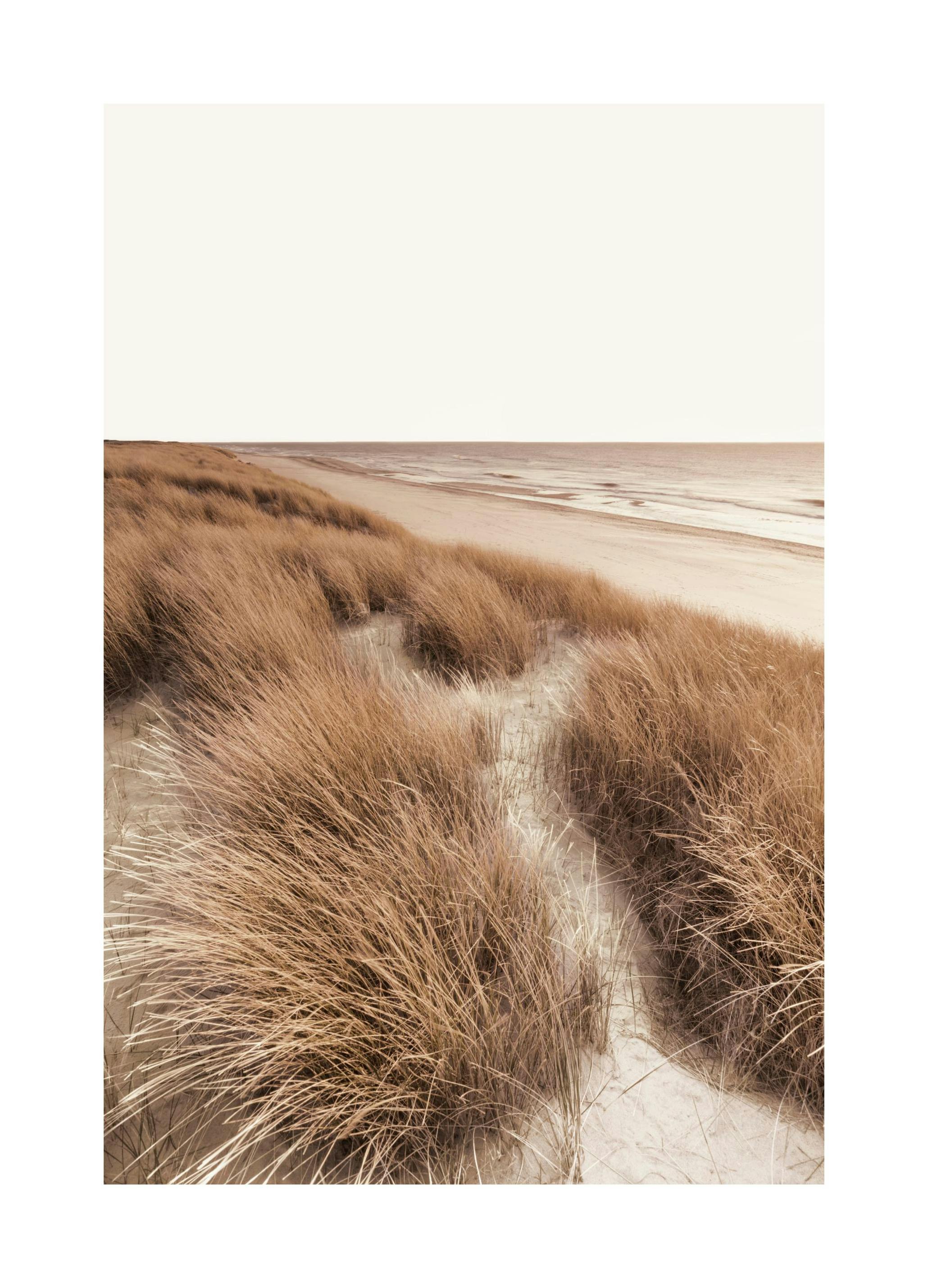Strandduinen Poster (30x40 cm) - Poster Store