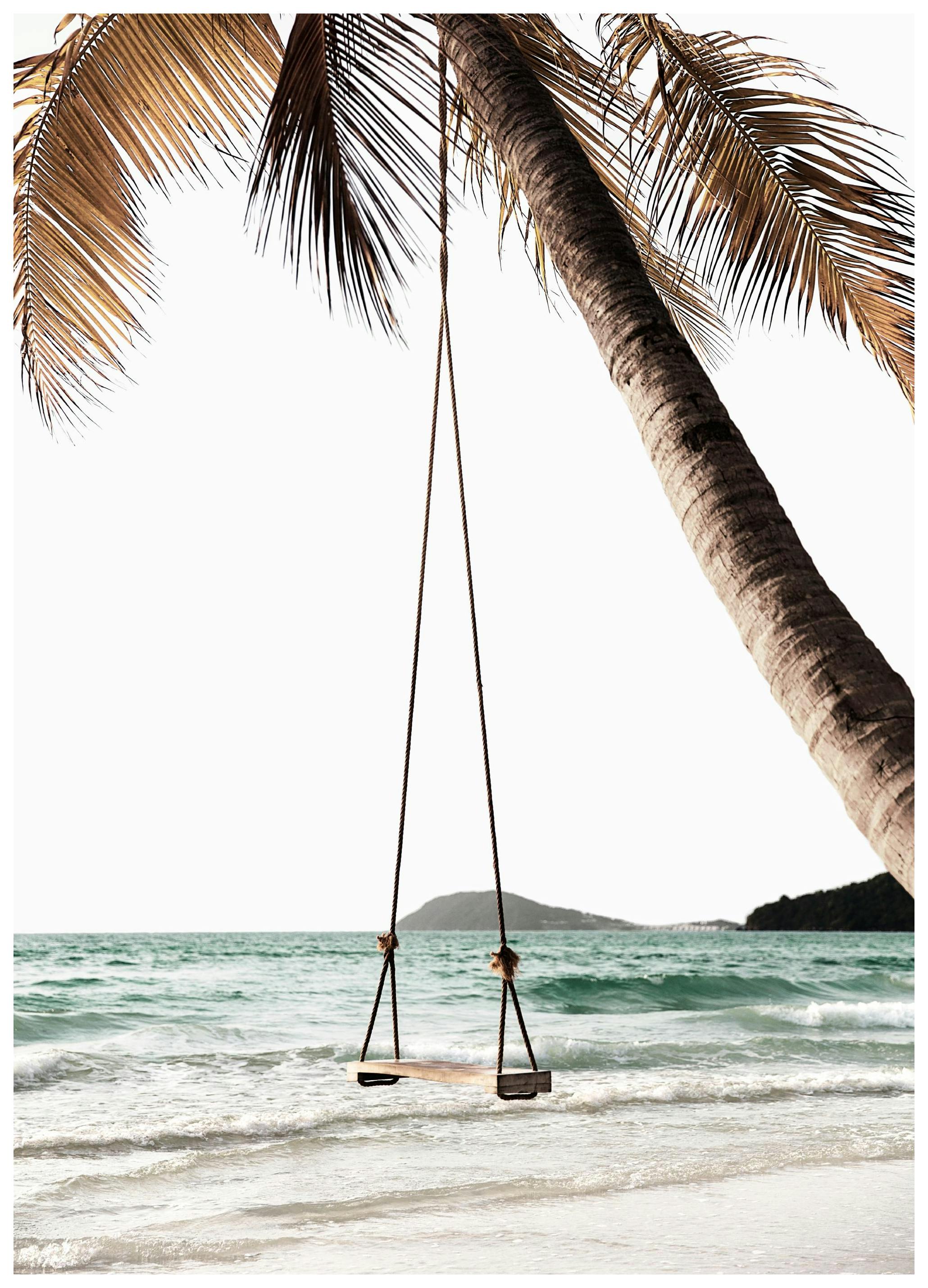 Balançoire sur Palmier Poster (50x50 cm) - Poster Store