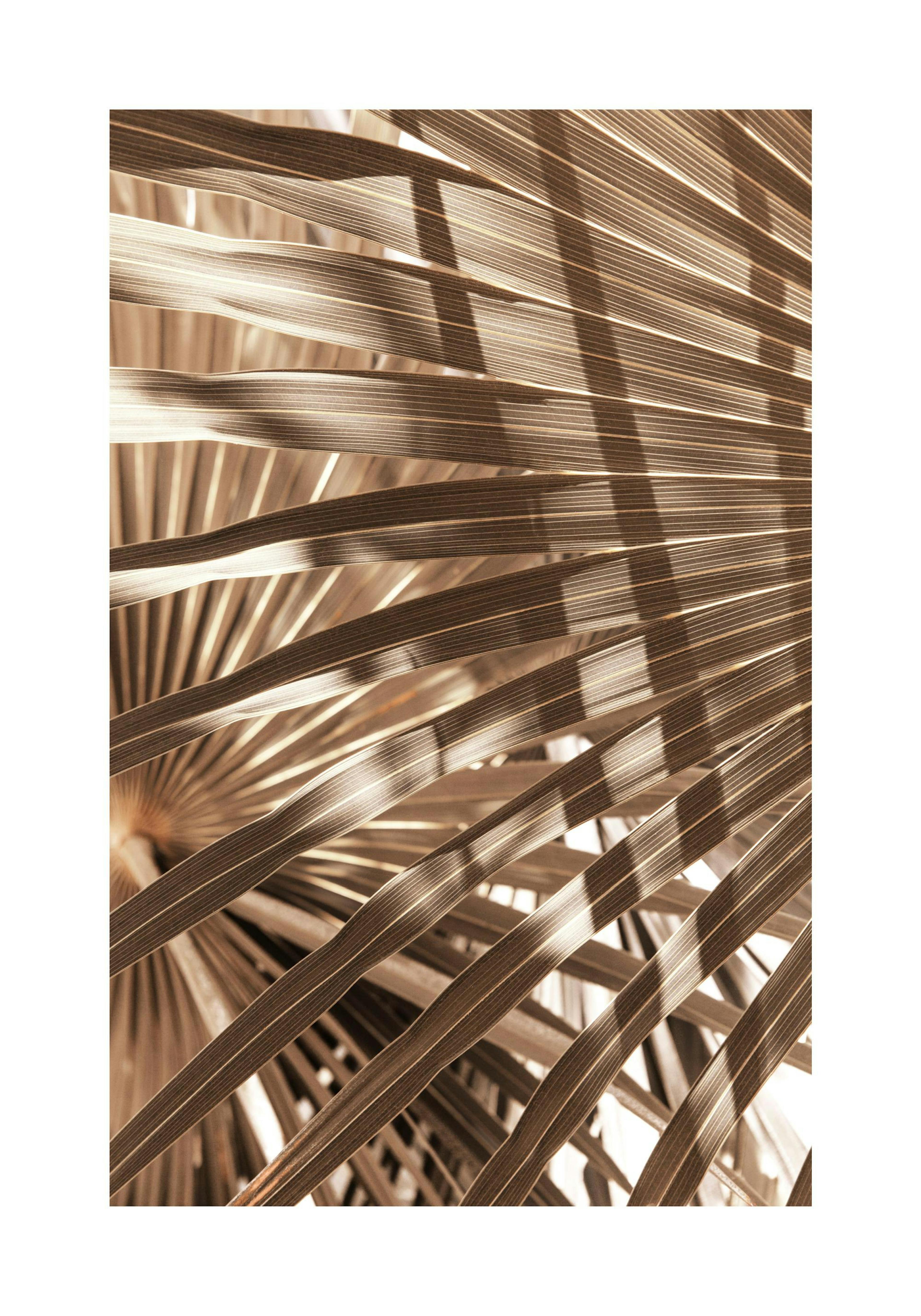 Product image: 1