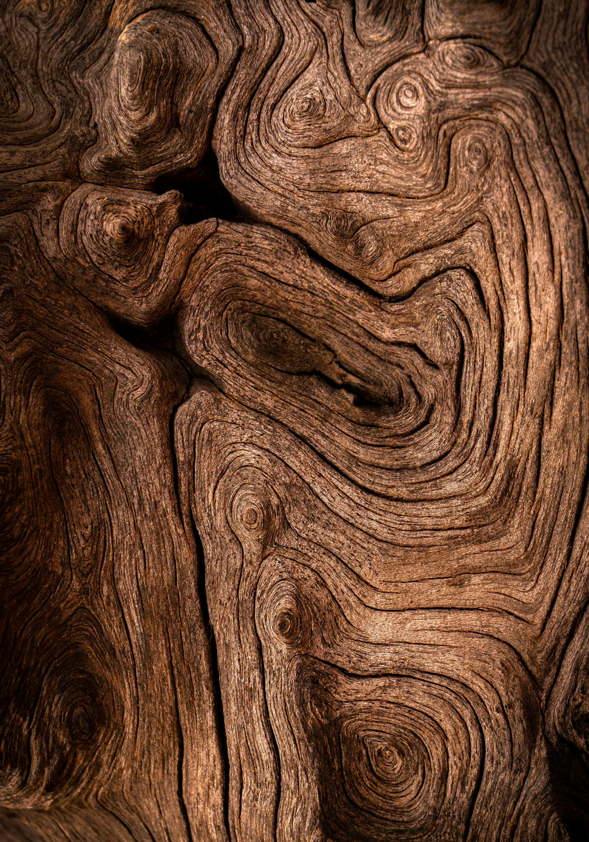 Póster de un tronco con vetas de madera intrincadas en tonos marrones oscuros.