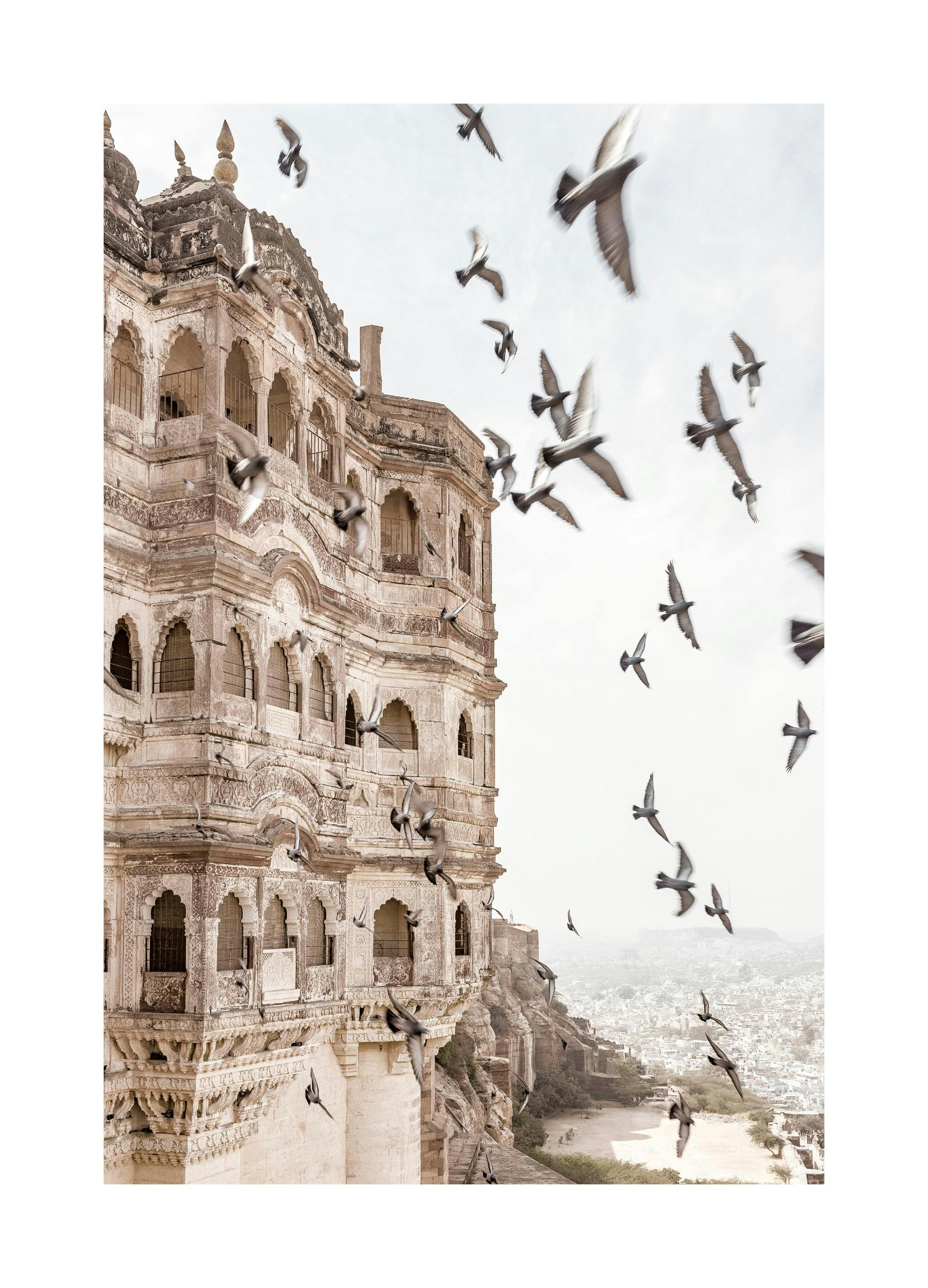 Birds by Palace Poster (21x30 cm) - Poster Store