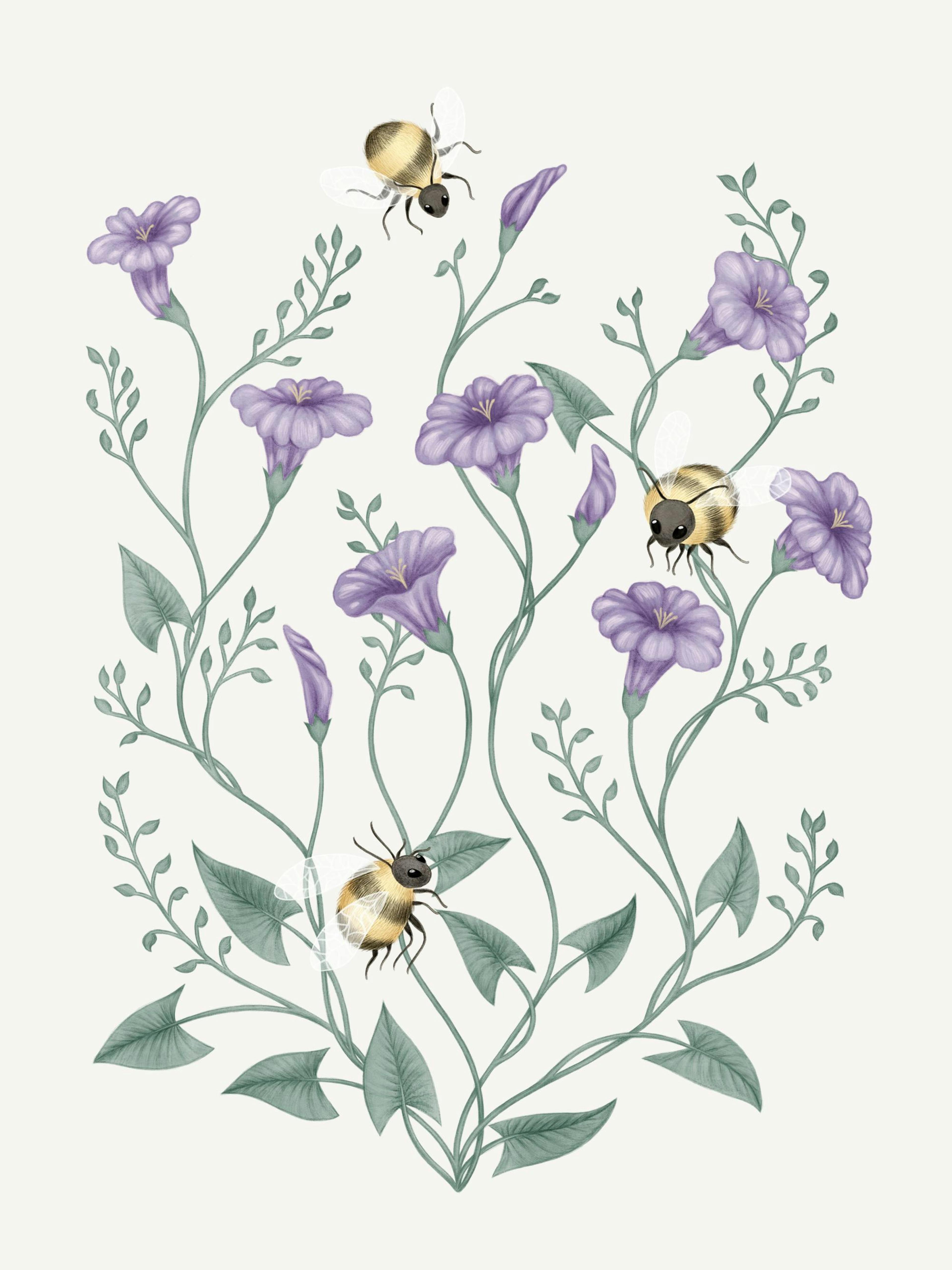 A poster featuring an illustration of three bees flying among purple morning glory flowers and green vines.
