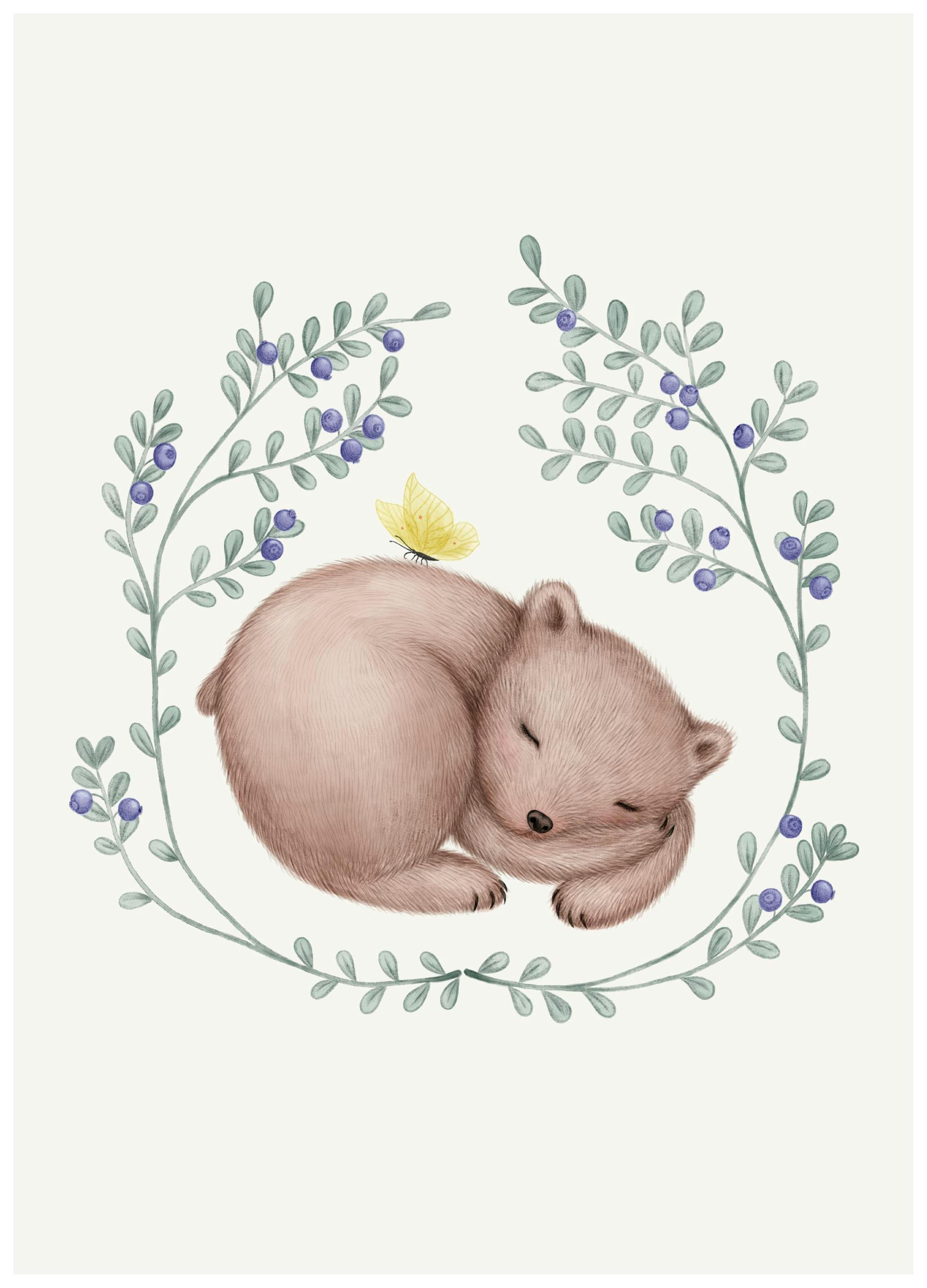 Sleeping Bear Poster (50x70 cm) - Poster Store