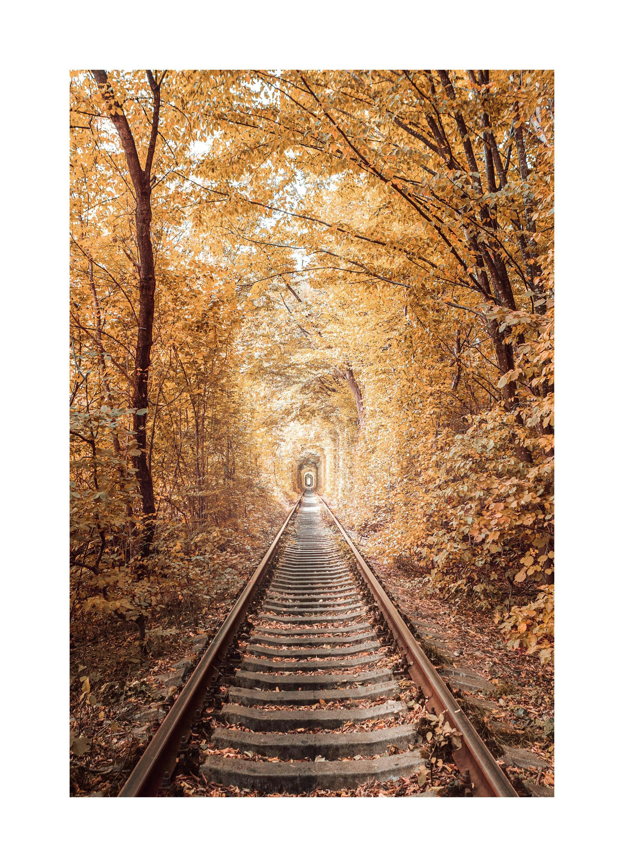 Liefdestunnel Poster (21x30 cm) - Poster Store