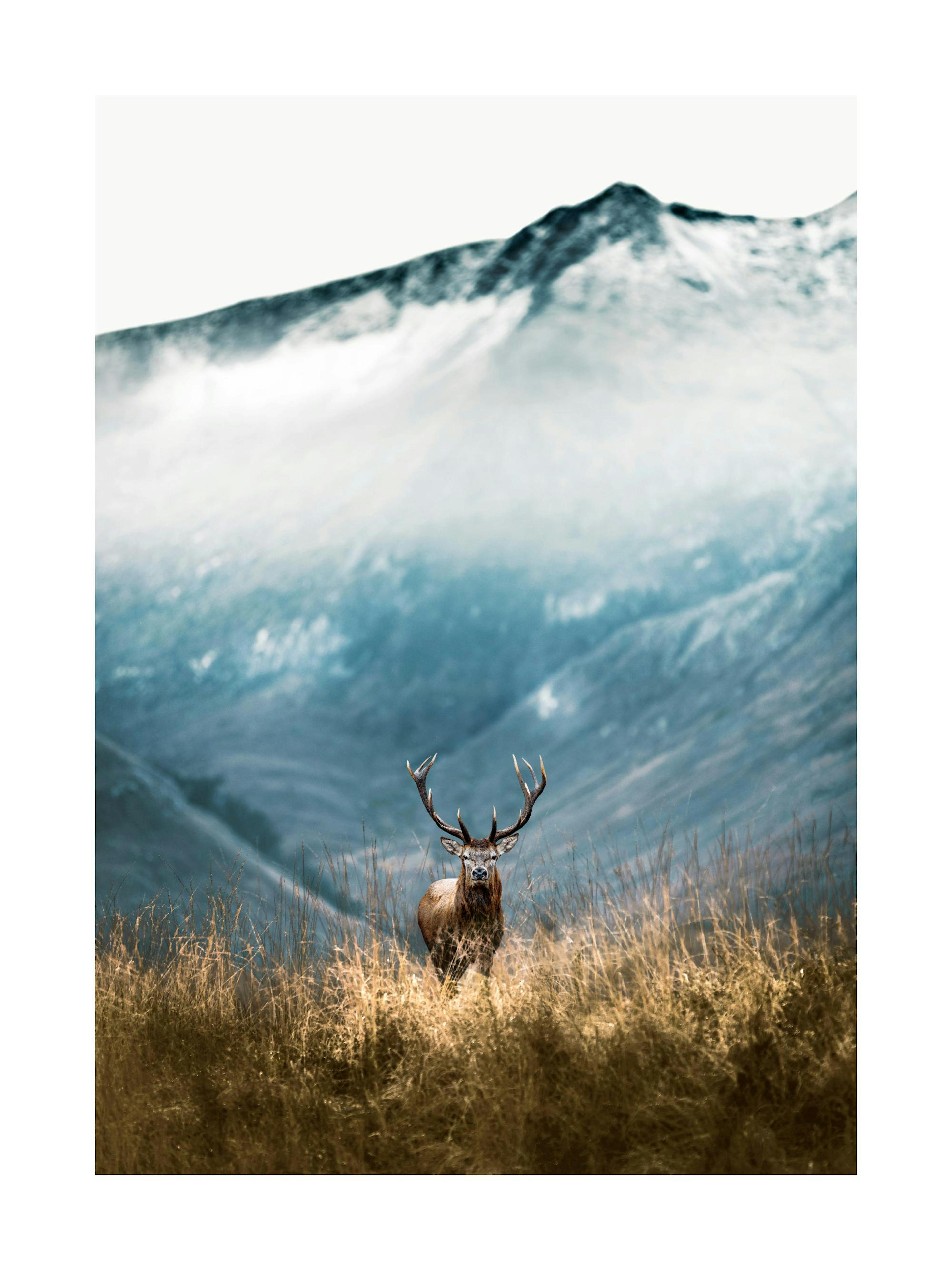 Product image: 1