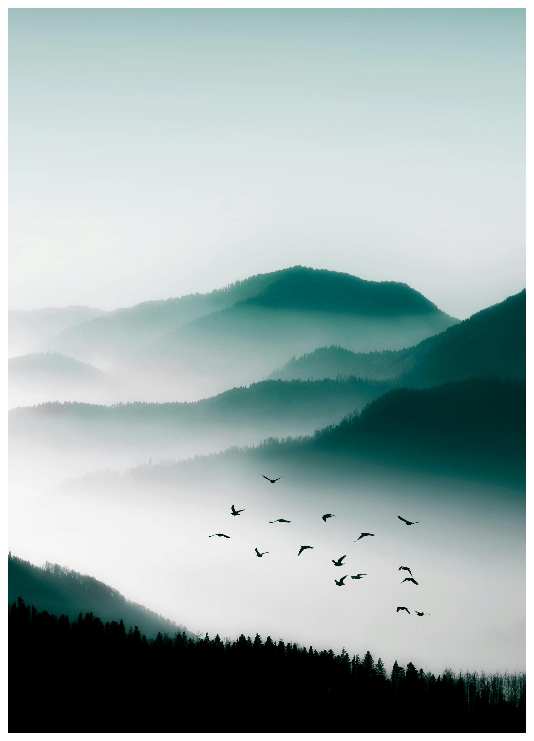 Vogels Over Berg Poster (50x70 cm) - Poster Store