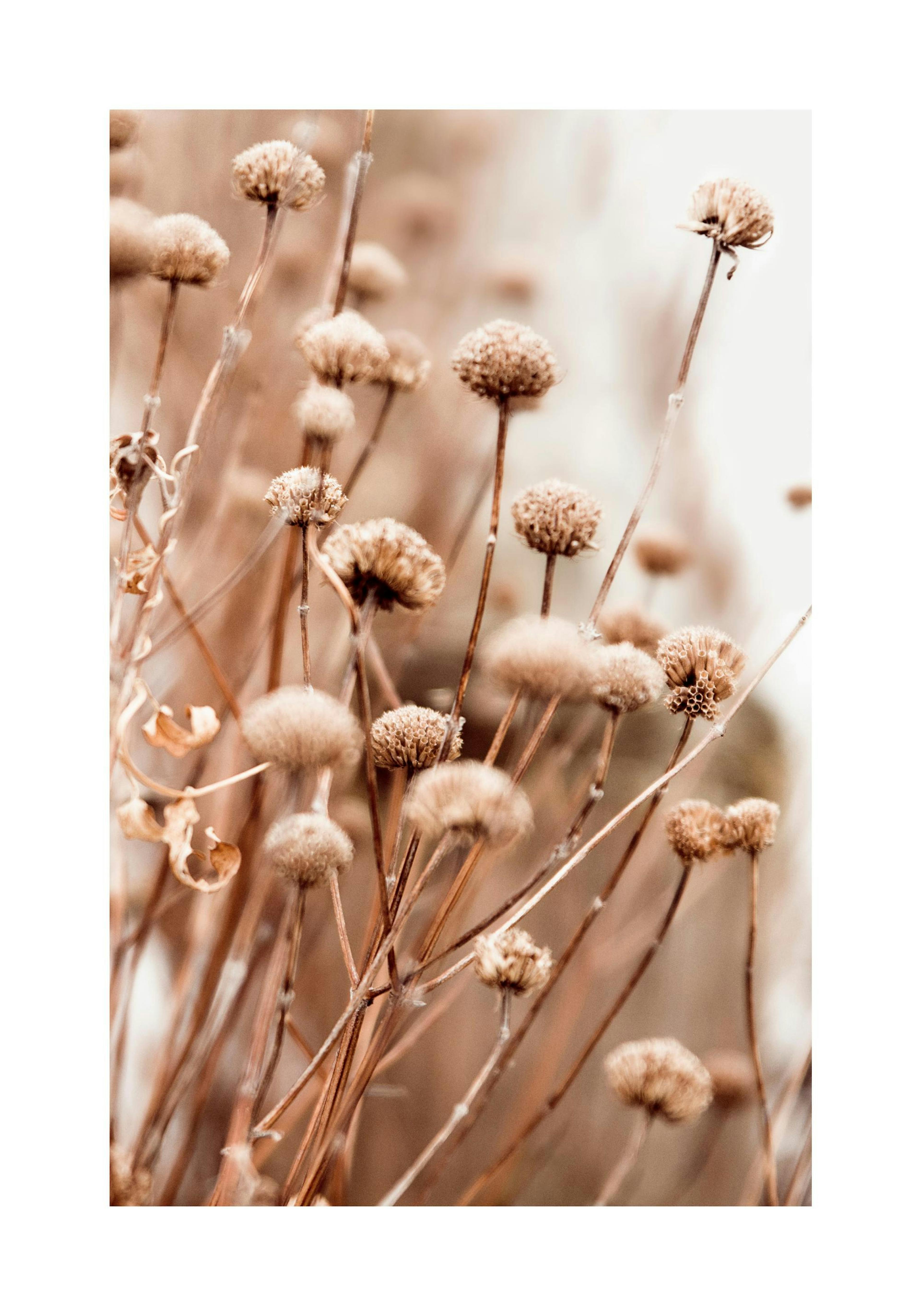 Product image: 1