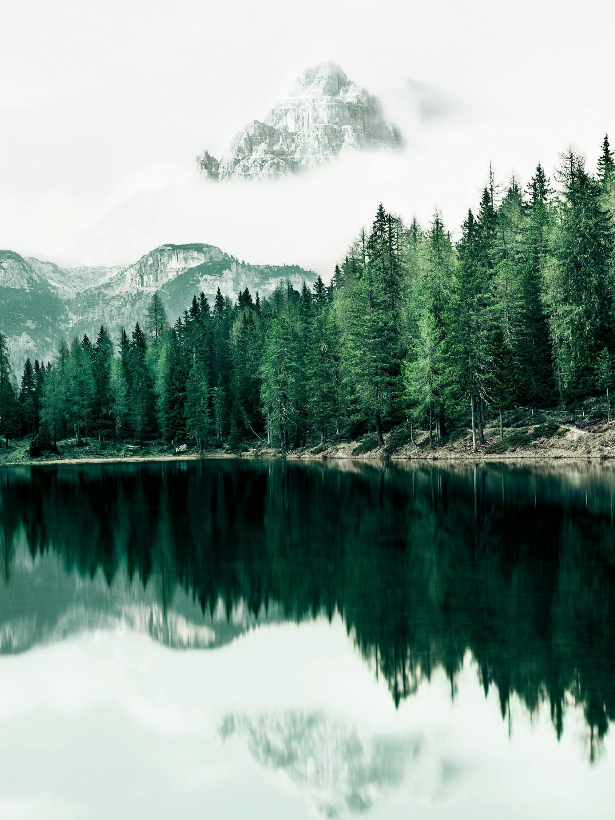 Plakat przedstawia zielony las sosnowy i góry odbijające się w spokojnej tafli jeziora.