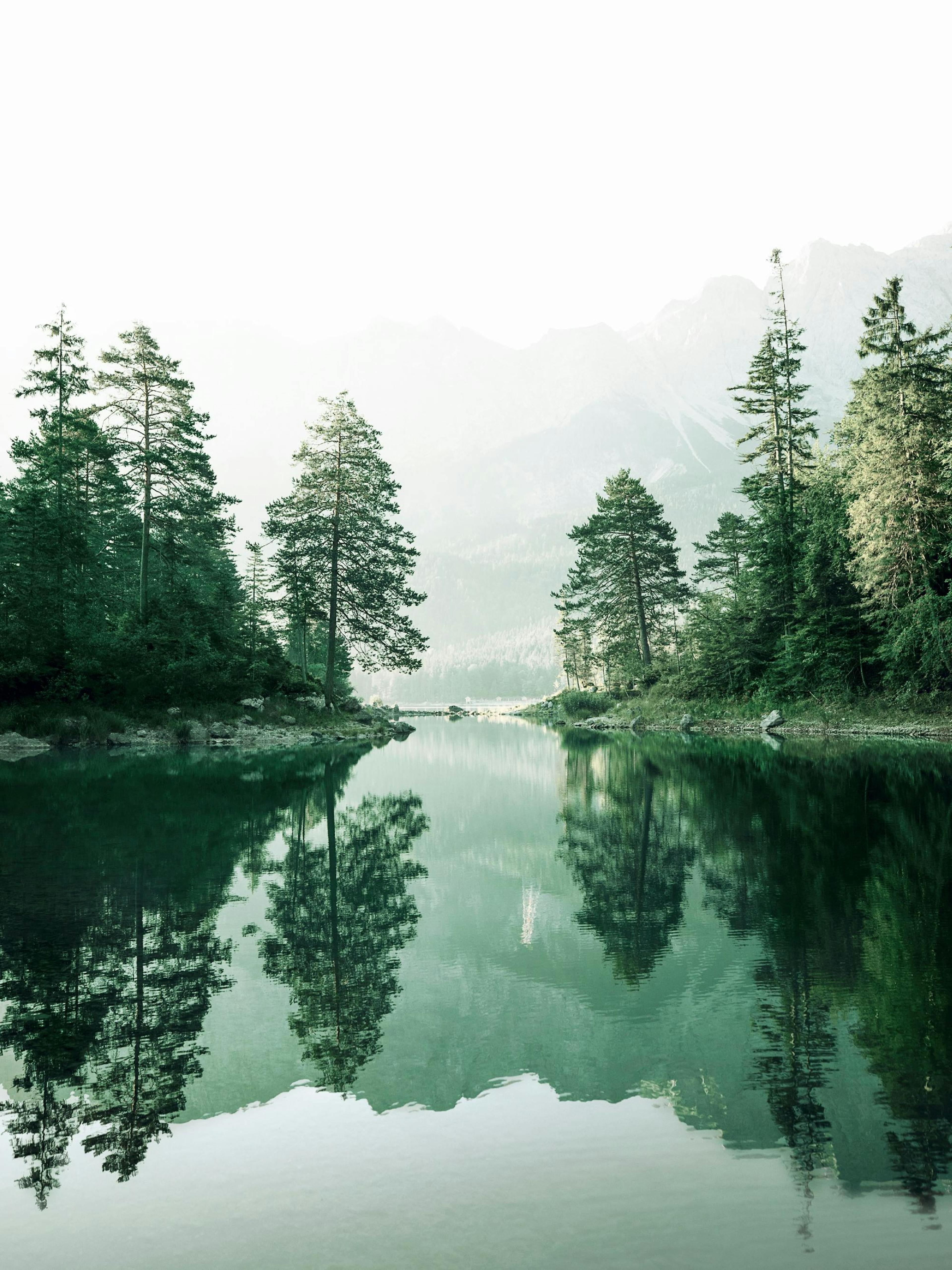 Un poster di un sereno lago di montagna circondato da pini, con cime montuose sullo sfondo e riflessi sullacqua.