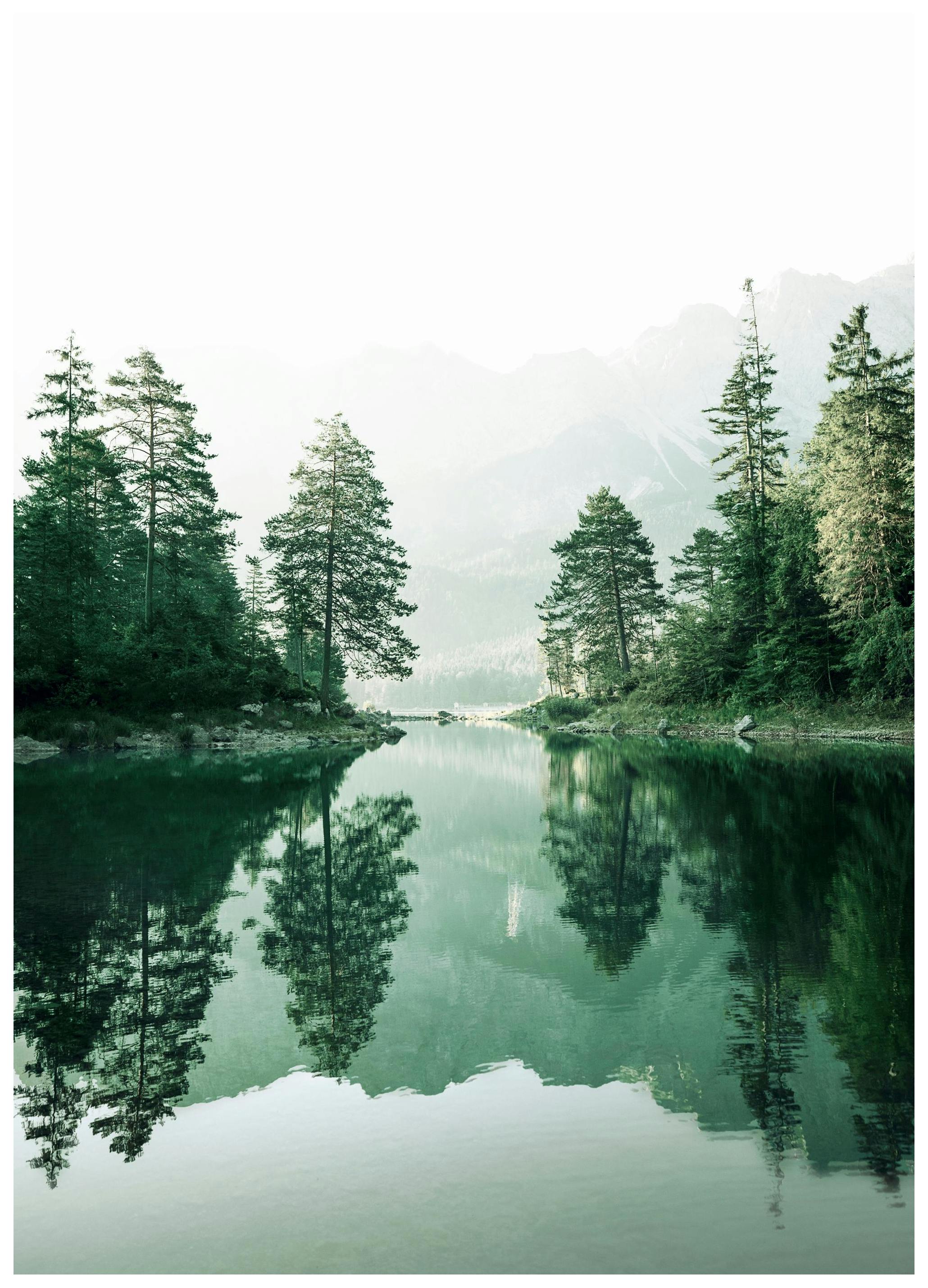 Tåkete Skog Refleksjon Poster (21x30 cm) - Poster Store