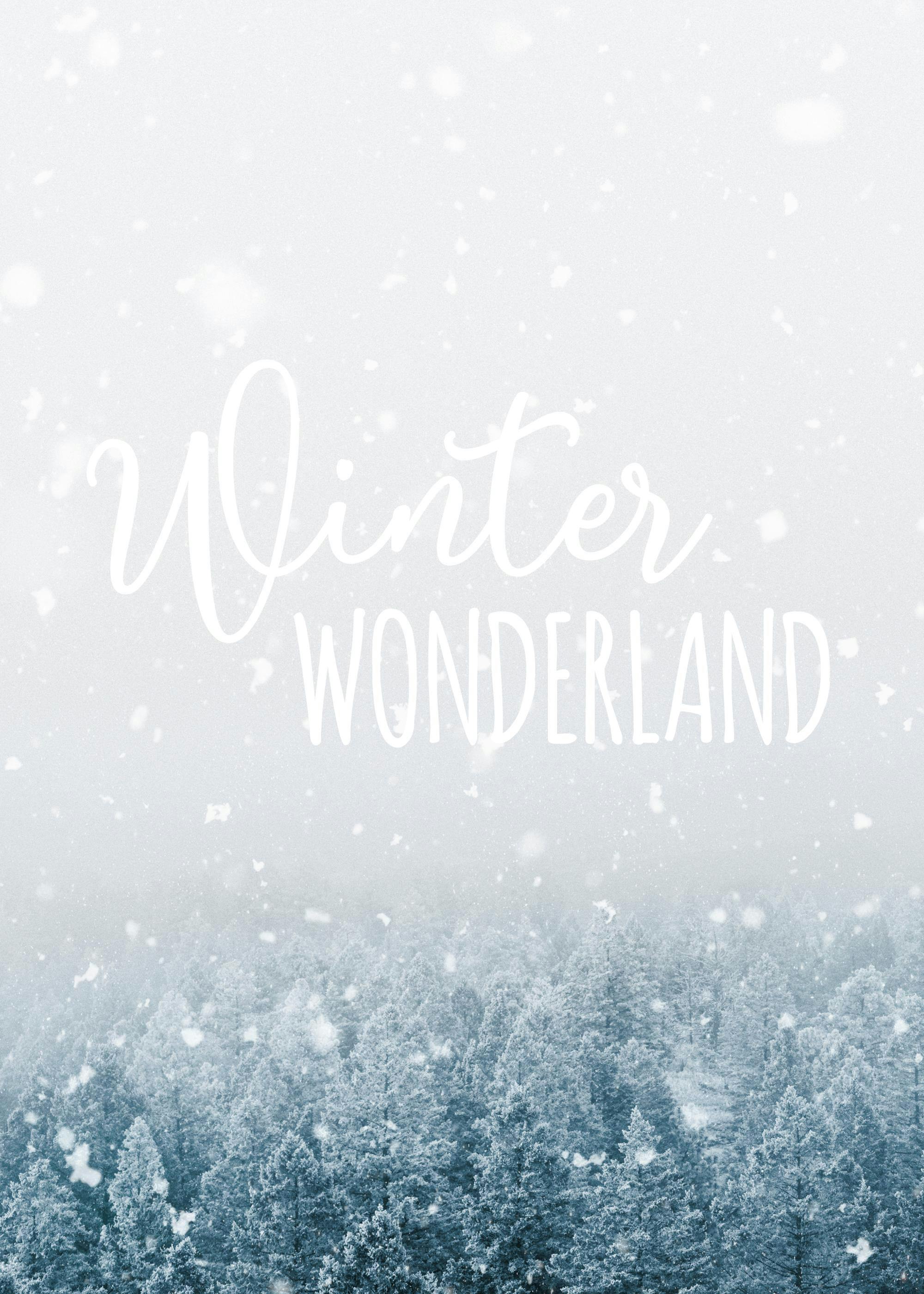 Poster mit verschneiten Tannenbäumen und dem weißen Schriftzug Winter Wonderland in fallendem Schnee.