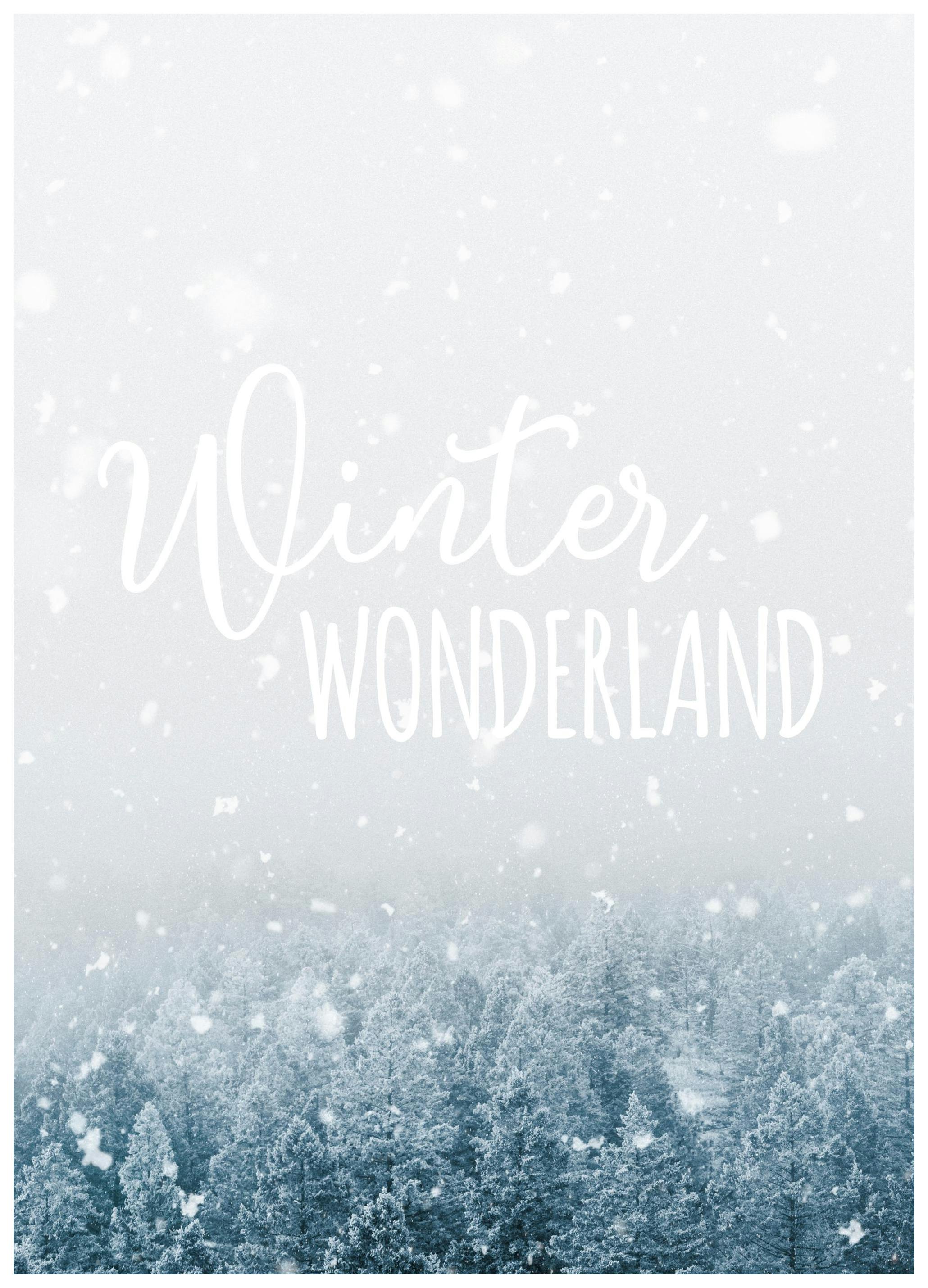 Winter Wonderland Poster (21x30 cm) - Poster Store