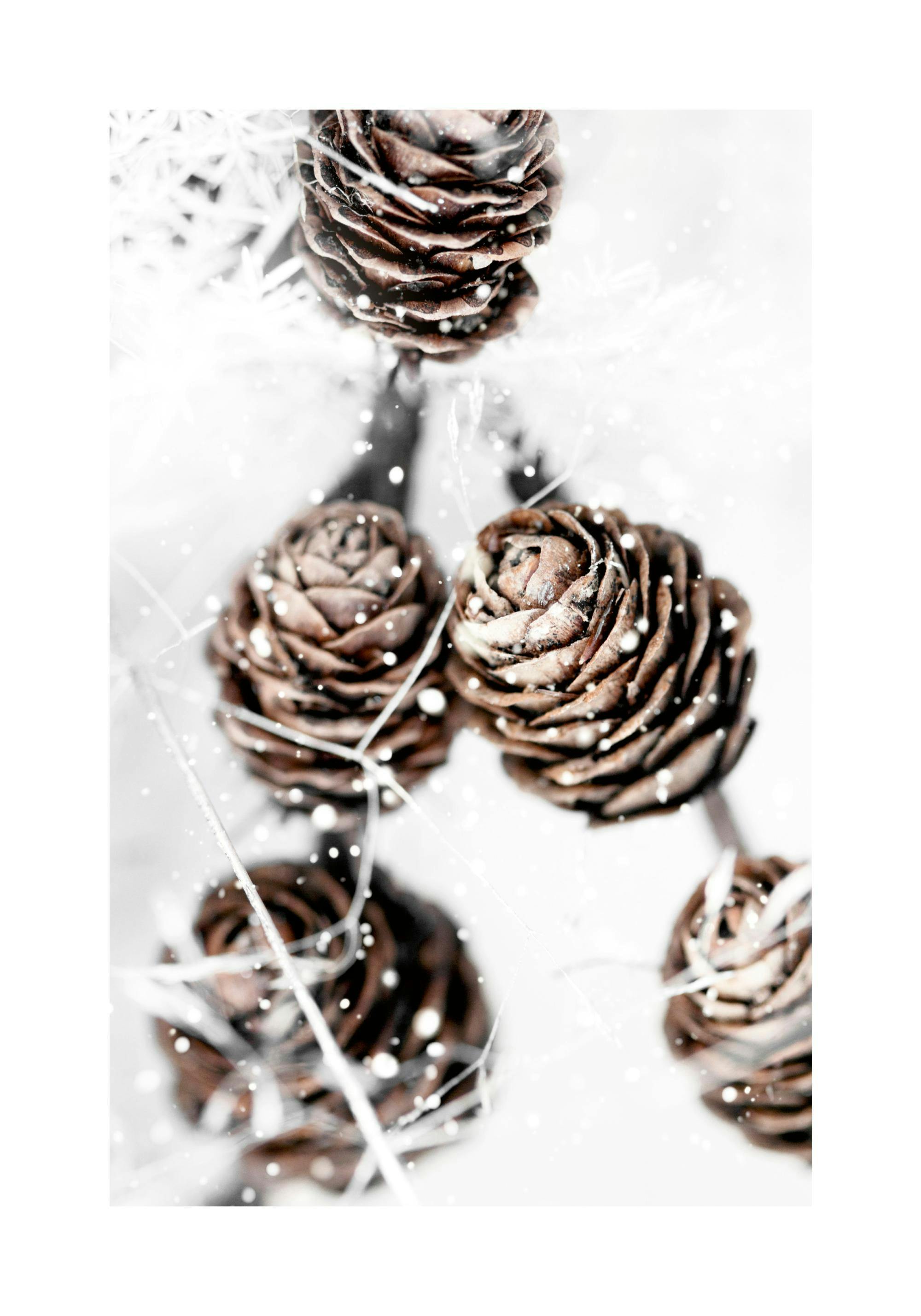 Poster de pommes de pin marron sur fond blanc avec des flocons de neige et des branches givrées.