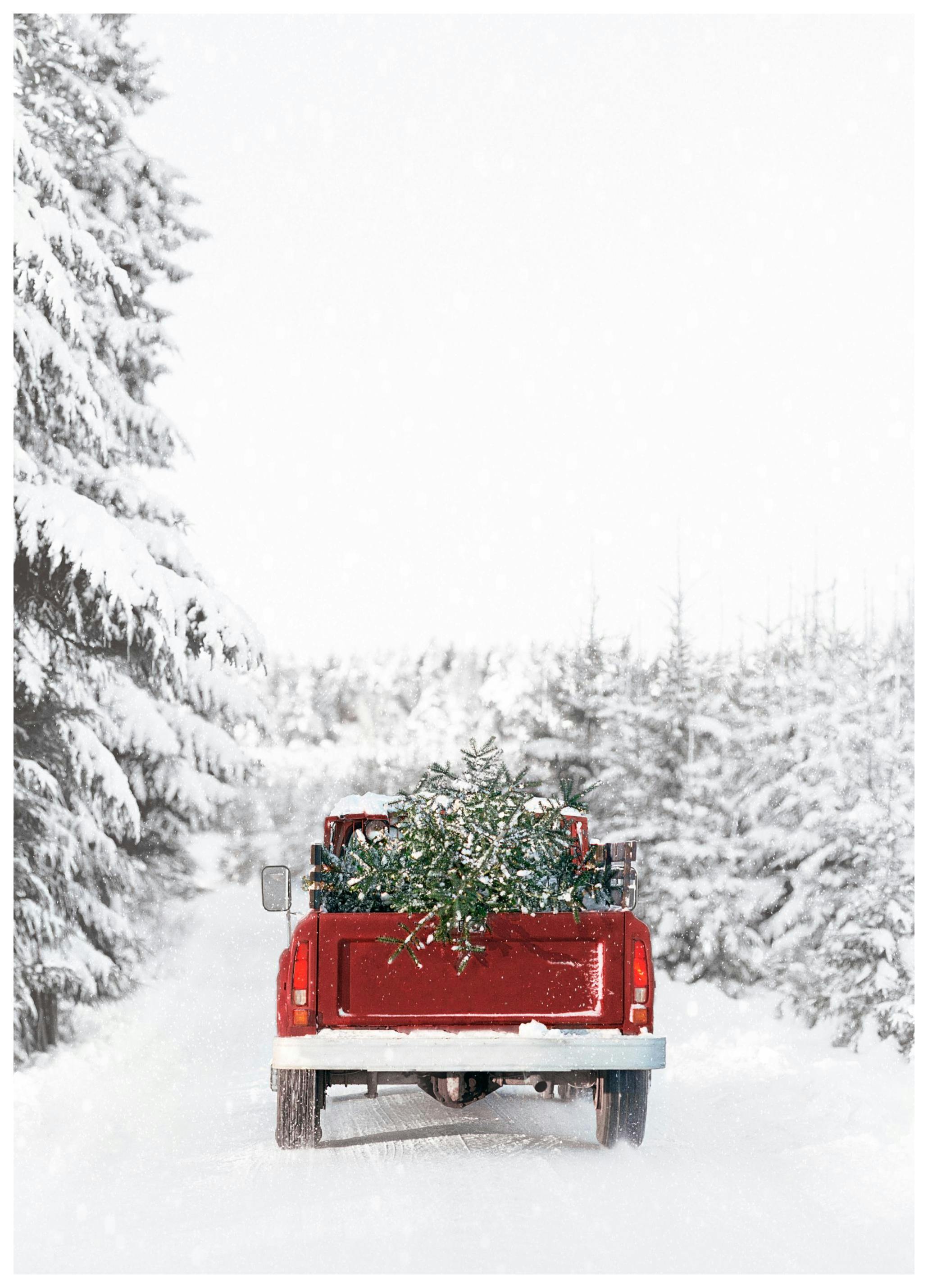 Prints Driving Home for Christmas Poster (40x50 cm) - Poster Store