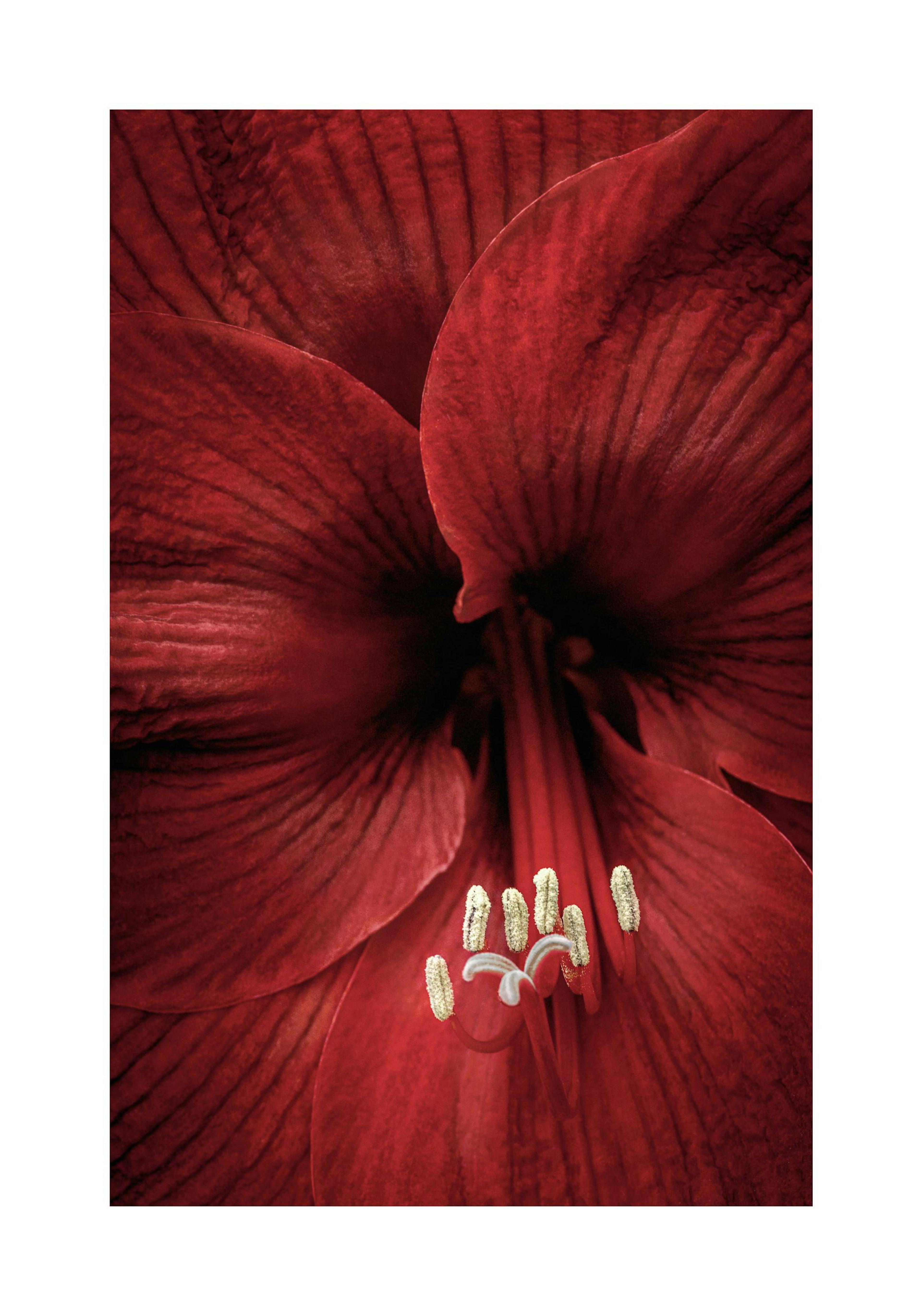 Product image: 1