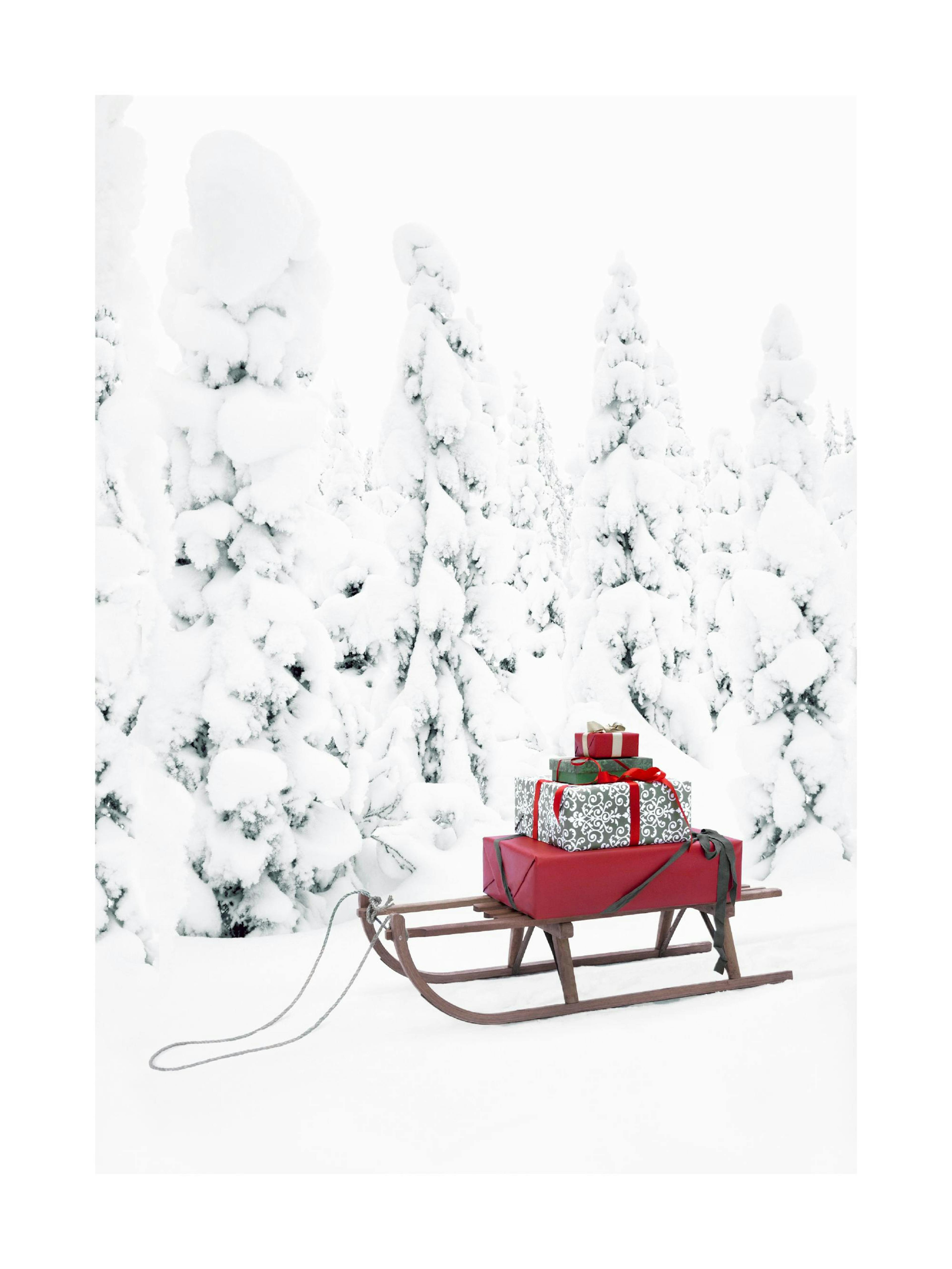 Weihnachtsschlitten Poster 0
