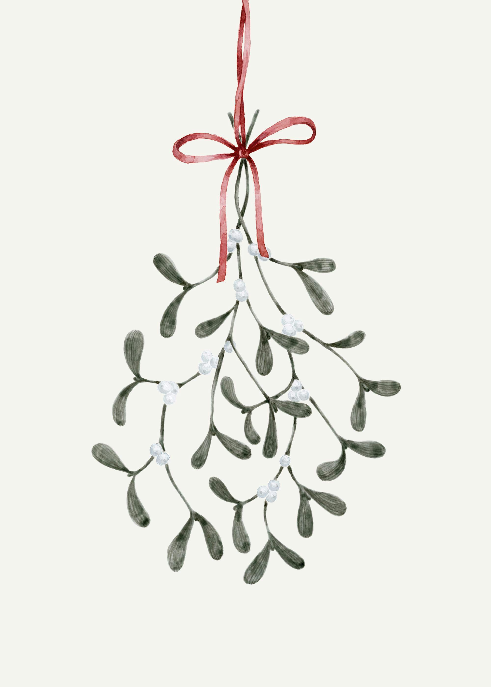 Poster de gui en aquarelle avec des feuilles vert foncé et des baies blanches, suspendu par un ruban rouge.