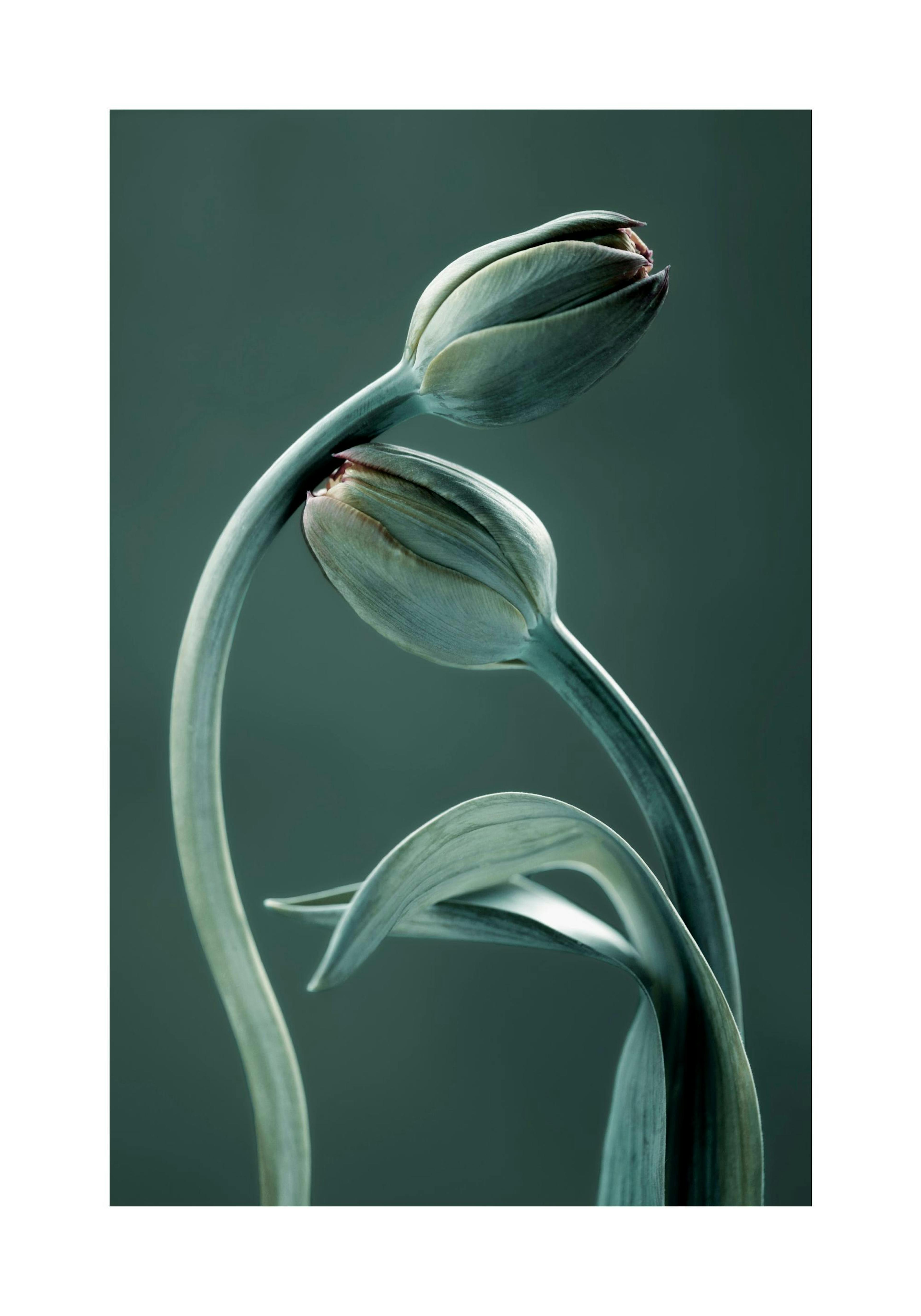 Product image: 1