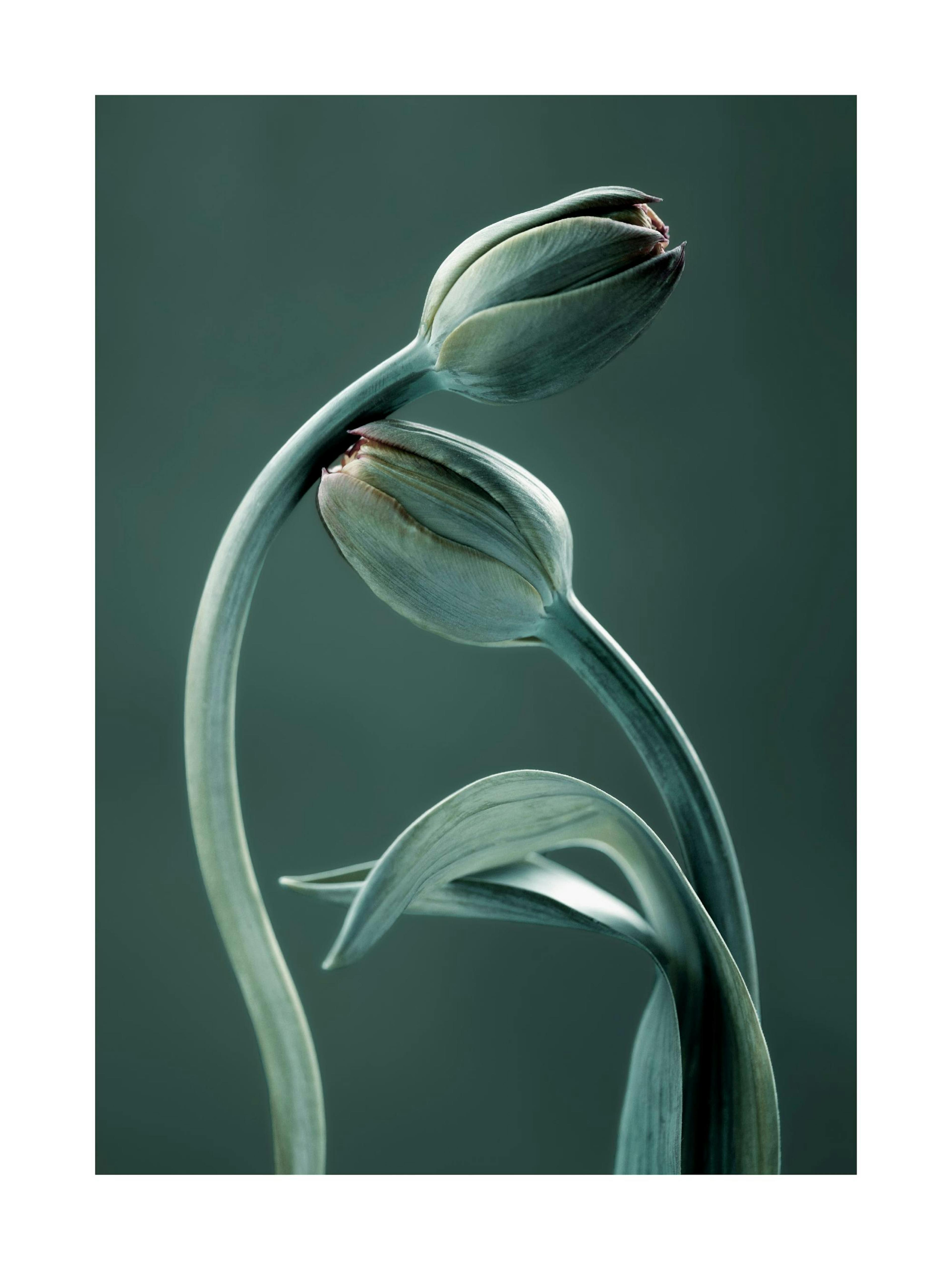 Product image: 1