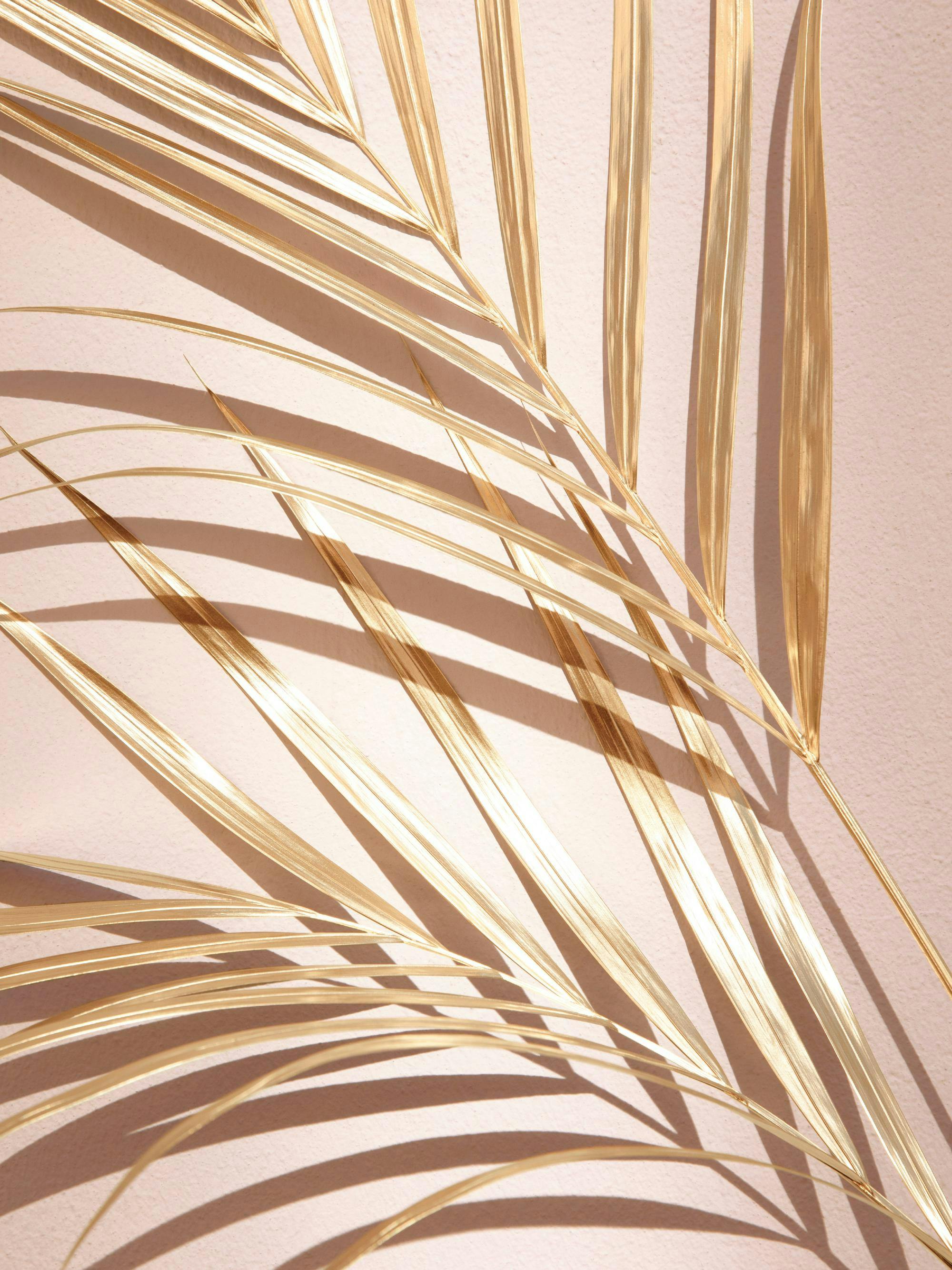 A poster featuring golden palm leaves casting shadows on a light beige background.