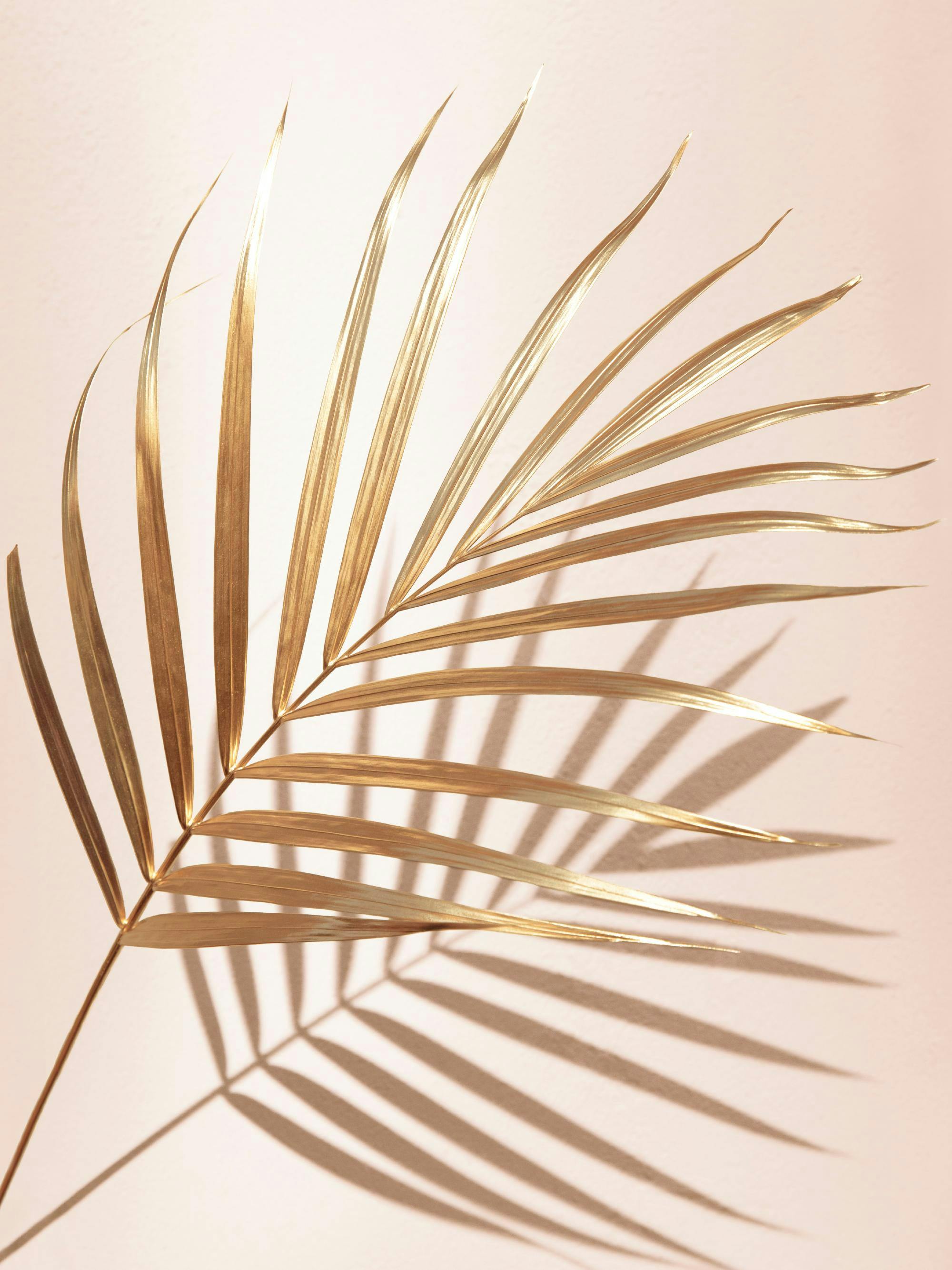 A poster featuring a golden palm leaf casting long, striped shadows on a light beige background.