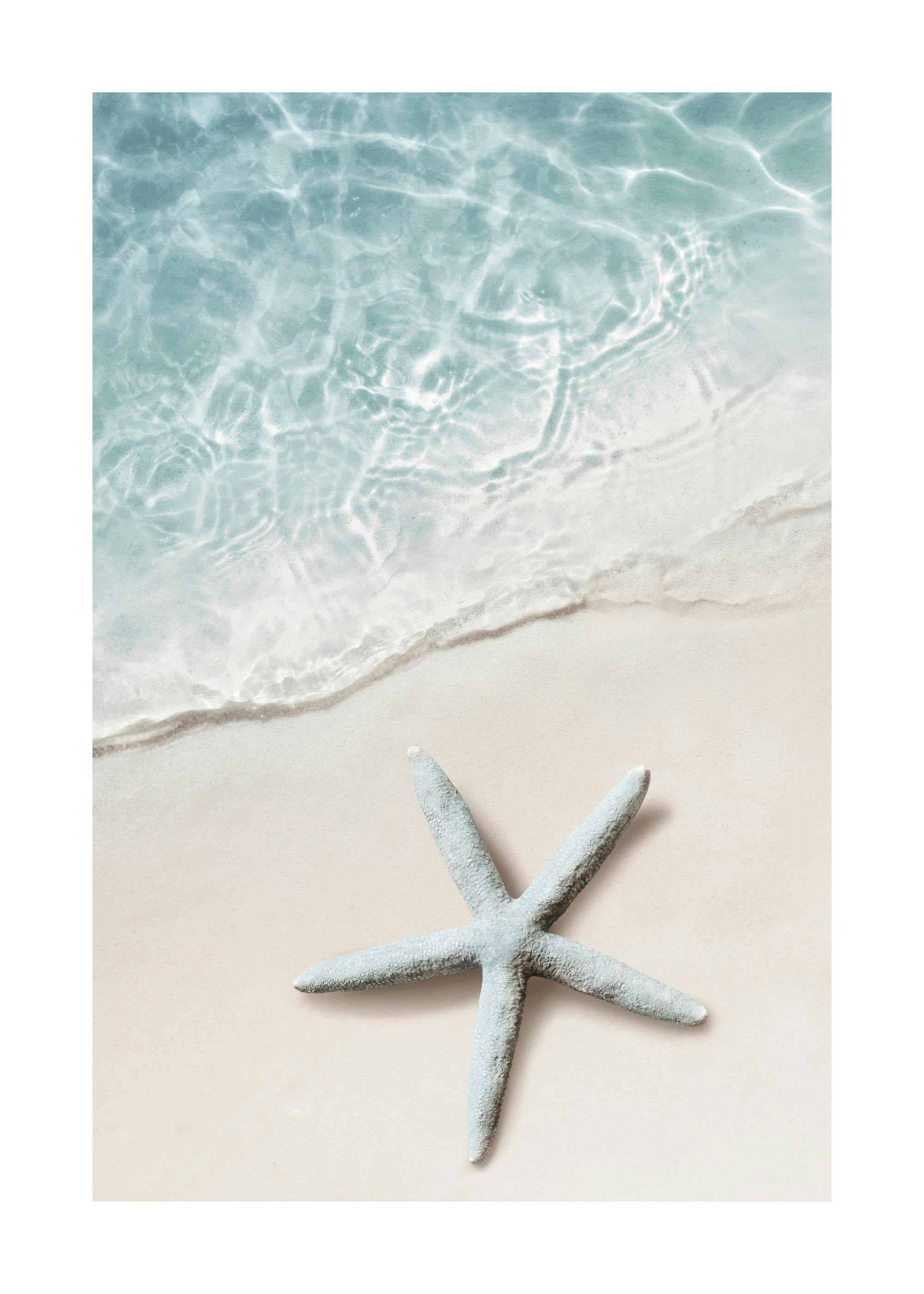 Un poster di una stella marina grigio-blu sulla sabbia, con acqua turchese che lambisce la riva.