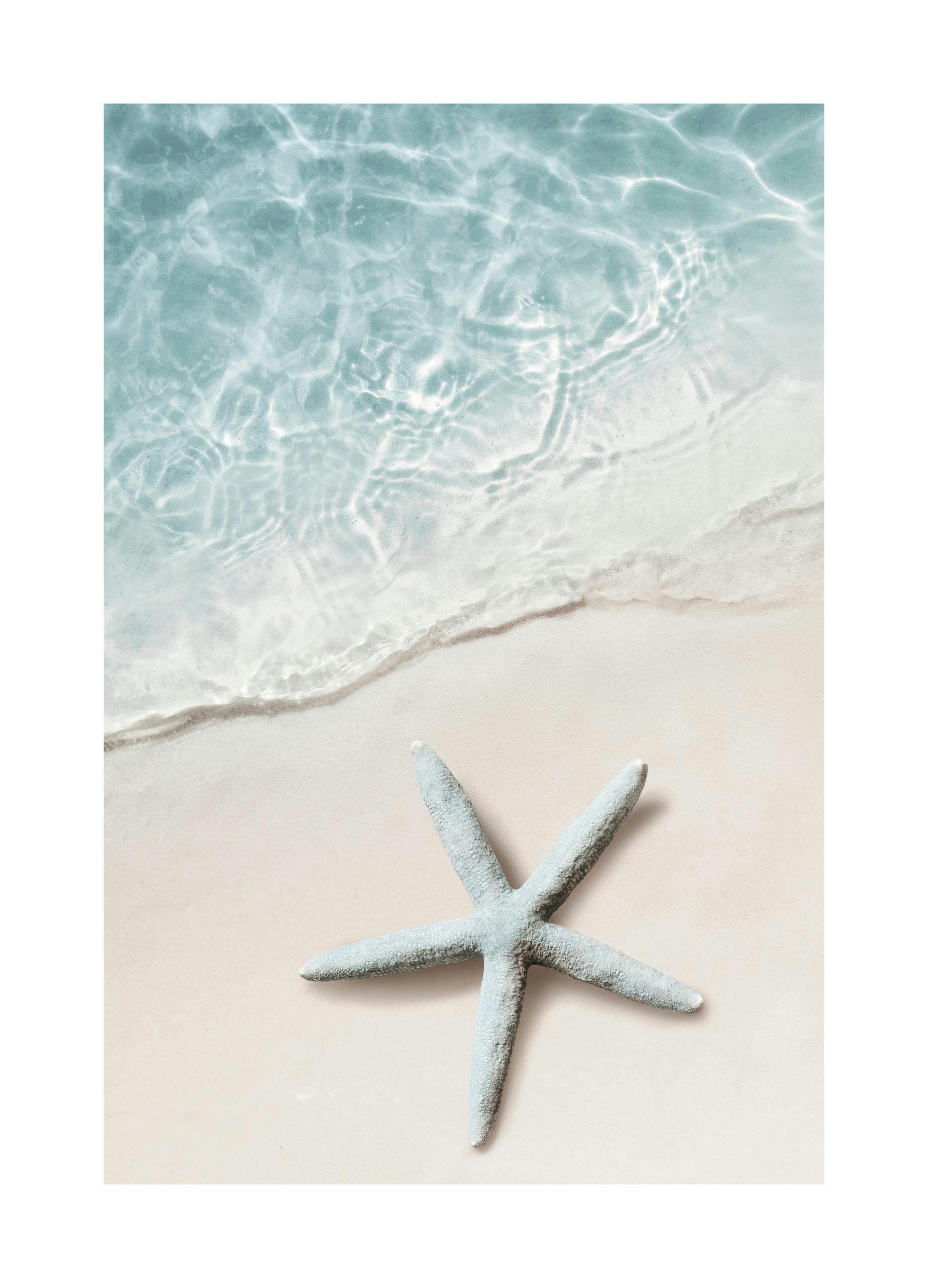 Plakat Błękitna Gwiazda Morska (21x30 cm) - Poster Store