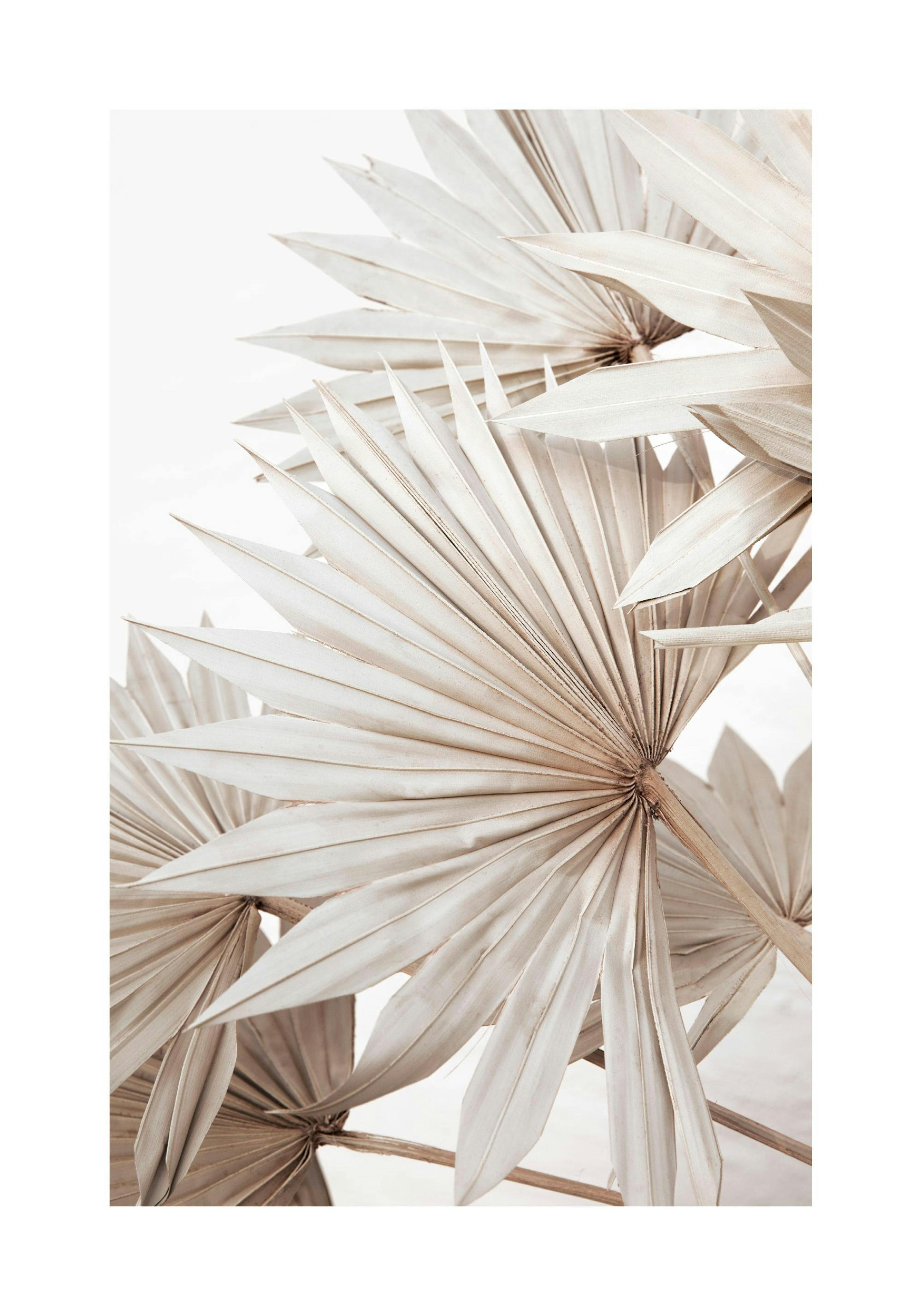 Product image: 1