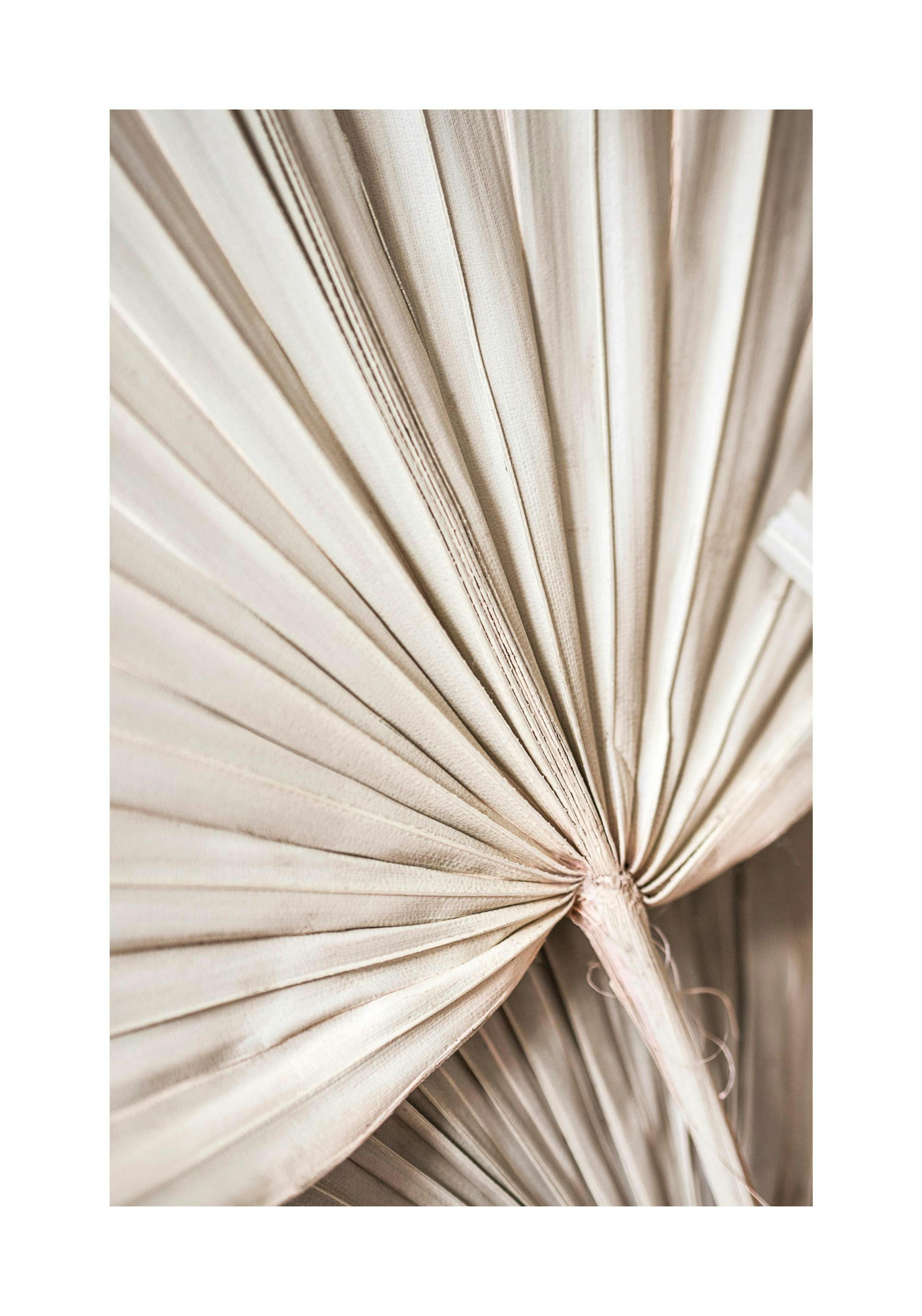 Poster einer getrockneten tropischen Palmblattfächerpflanze mit detaillierten, hellbraunen Fasern und Linien.