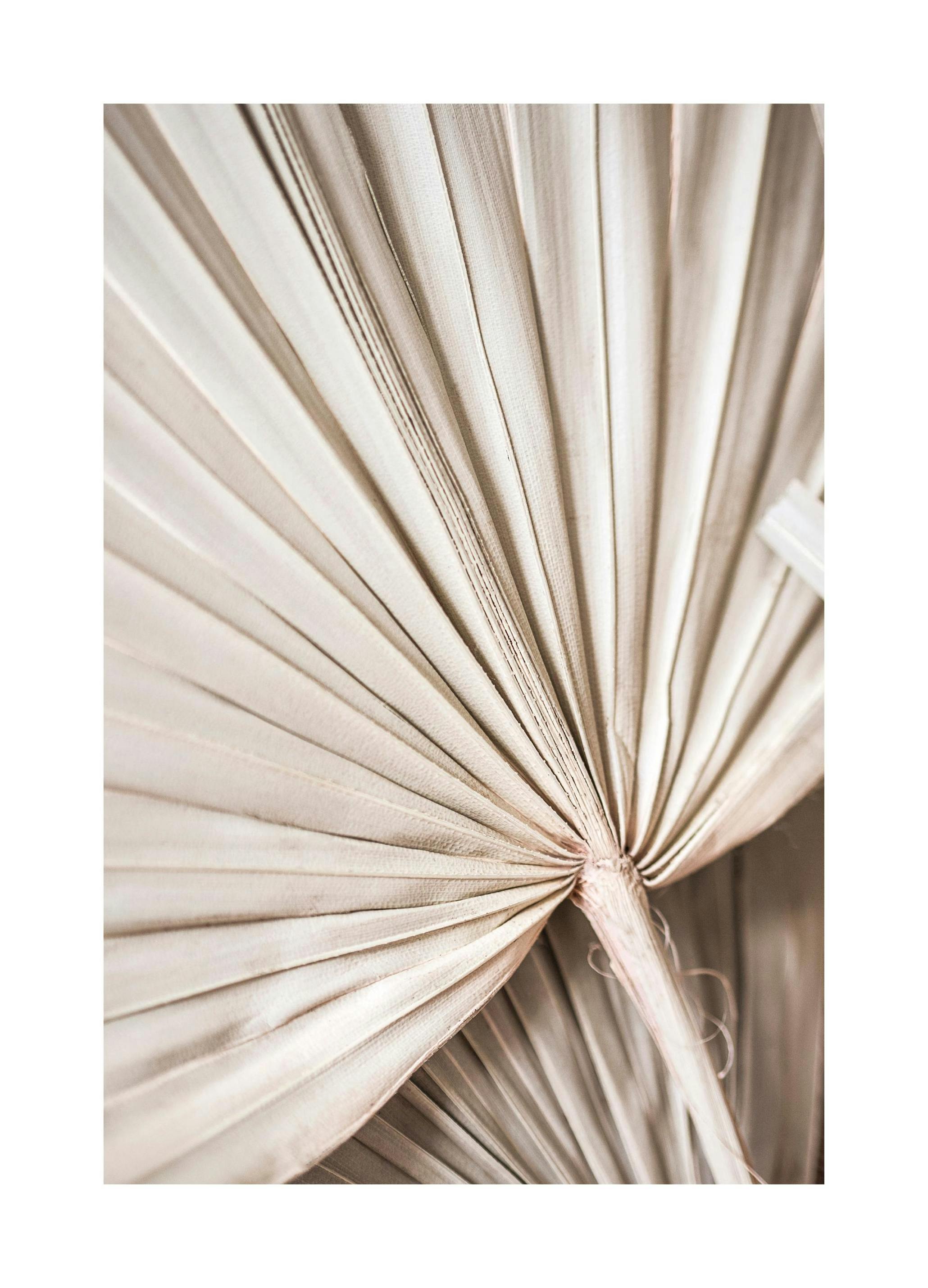 Beige Palm Nr2 Poster (30x40 cm) - Poster Store